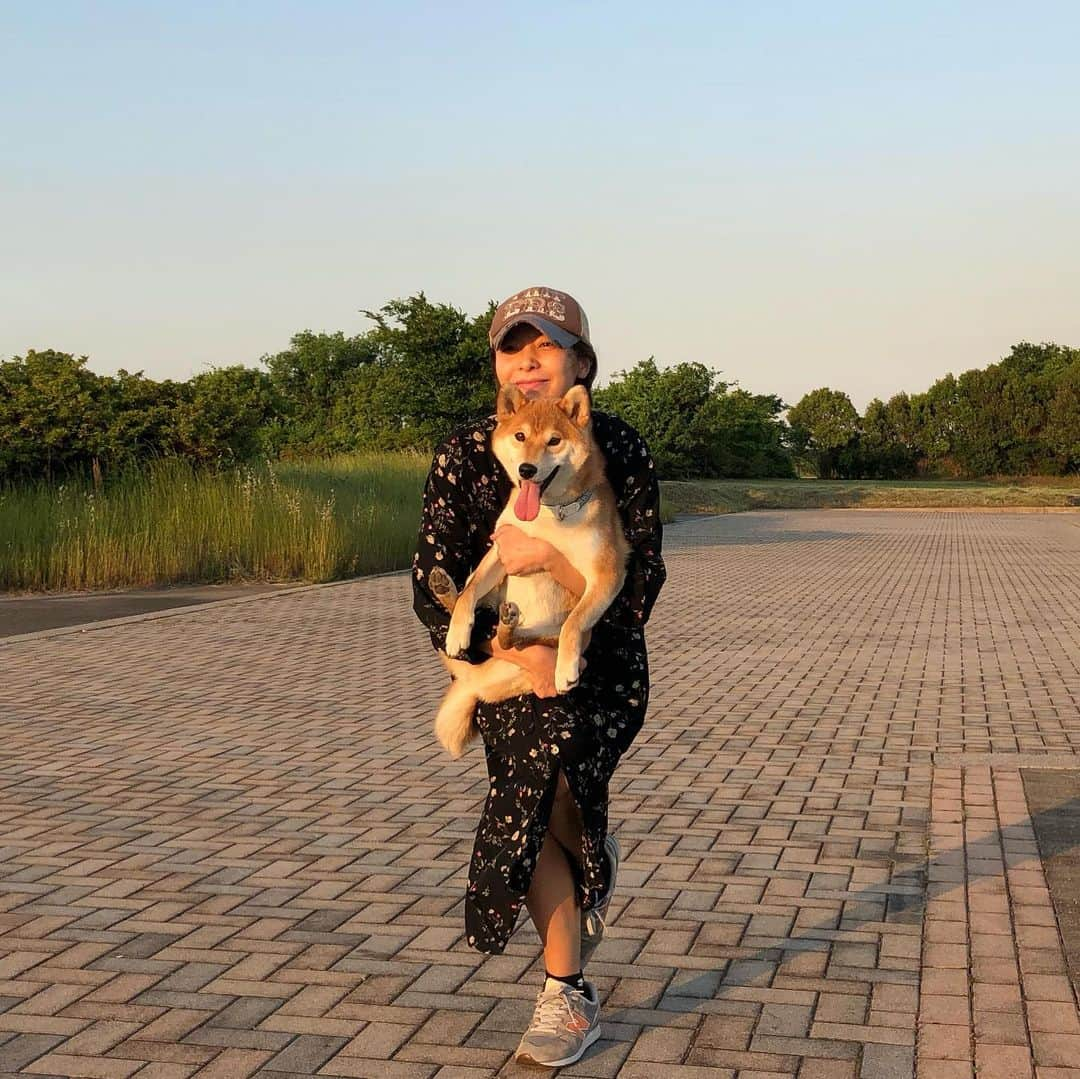 舞名里音さんのインスタグラム写真 - (舞名里音Instagram)「記念すべき #dogyoga  記念すべき #birthday  今日は じゃじゃまるの お誕生日。 1歳おめでとう。  #happybirthday #じゃじゃまる  #1さい #おめでとう #めでたい  #すくすく成長中 #柴犬 #福犬  #いつもありがとう #だいすき  #ツンデレ #甘えん坊 #感謝」5月23日 18時44分 - maina_rion