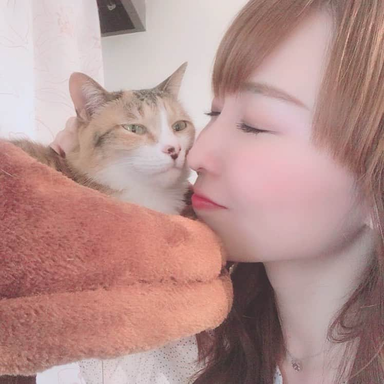 長久梨那さんのインスタグラム写真 - (長久梨那Instagram)「． #キスの日 #猫 #命懸け #三毛猫 #みけねこ #ねこ #にゃんこ #ねこすたぐらむ #にゃんすたぐらむ #猫部 #三毛猫部 #野良猫 #お鼻に #隠れミッキー #キス #自撮り #セルフィー #女優 #アナウンサー #フォローミー #japan #girl #japanesegirl #kiss #cat #catstagram #catsofinstagram #selfie #instacat #followme」5月23日 18時26分 - rinanagahisa