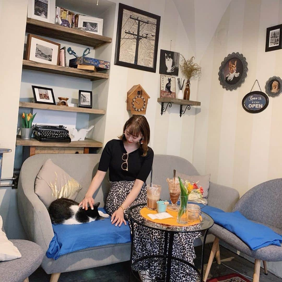 karen okajimaさんのインスタグラム写真 - (karen okajimaInstagram)「ㅤㅤㅤ ㅤㅤㅤ クラクフ旧市街で地元の方に 有名なカフェCafe Bar Magiaさん🐈  看板娘がねこちゃんでずっと定位置に 座っていて地元の人はその子がいる席に 座りに来てたから有名なねこちゃんなんやと思う🐱💕 ㅤㅤㅤ  かれんはアップルパイとカプチーノと ミックスジュース頼んだけど ミックスジュースは入れれるもの 自分で決めれるから好みの味になった😍  お店は広くて、1階、テラス席、地下、離れの席と 沢山咳がありました☺️💕💕💕 ㅤㅤㅤ  定員さんもみんな親切でした😍 ㅤㅤㅤ ㅤㅤㅤ ㅤㅤㅤ #ポーランド観光 #EU #クラクフカフェ #🇵🇱 #おかじ旅行記 #岡島かれん  #ポーランド #ヨーロッパ  #Kraków #クラクフ #クラクフ旧市街 #jtbで旅したい #magiacafebar #okaji_Europe #ヨーロッパ旅行 #海外旅行好きな人と繋がりたい #タビジョ #ヨーロッパ好き #ヨーロッパ好きな人と繋りたい」5月23日 19時05分 - karenokajima0318