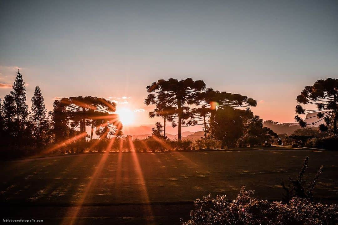 Bobさんのインスタグラム写真 - (BobInstagram)「TBT Campos do Jordão  Hotel @suryapanhotel  Petfriendly  Turma linda, visual lindo 🔝🔝🔝🐾🐶🌳🍁🌄 . . Foto 📸: @fabiobueno_fotografia . . #TBT #throwback #throwbackthursday #photography #photooftheday #picoftheday #travelphotography #dogs #dogstyle #dogsofinstagram #dogoftheday #vejasp #instagrammers #instagram #instadaily #pets #petsofinstagram #goldenretriever #goldenretrievers #camposdojordao2019 #camposdojordao #petfriendly #hotelpetfriendly」5月23日 19時05分 - bob_marley_goldenretriever