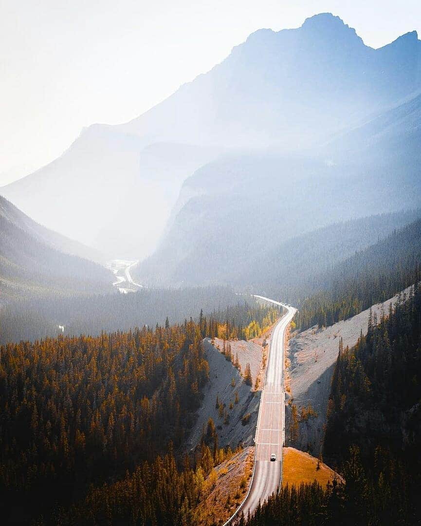 Discover Earthさんのインスタグラム写真 - (Discover EarthInstagram)「Out discovering the beautiful scenic roads and local wildlife of the Icefields Parkway in Banff, Canada ! 🌲🇨🇦 Who would you want to go on a roadtrip there with ? Tag them ! — 📍#DiscoverCanada — 📸 Photos by @jguzmannn」5月23日 19時16分 - discoverearth