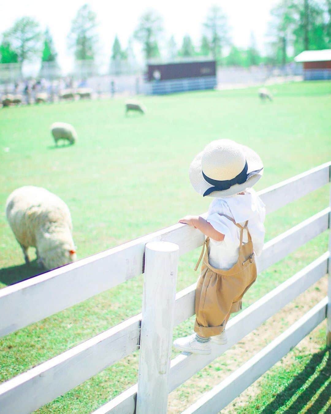 タビスルキッズのインスタグラム