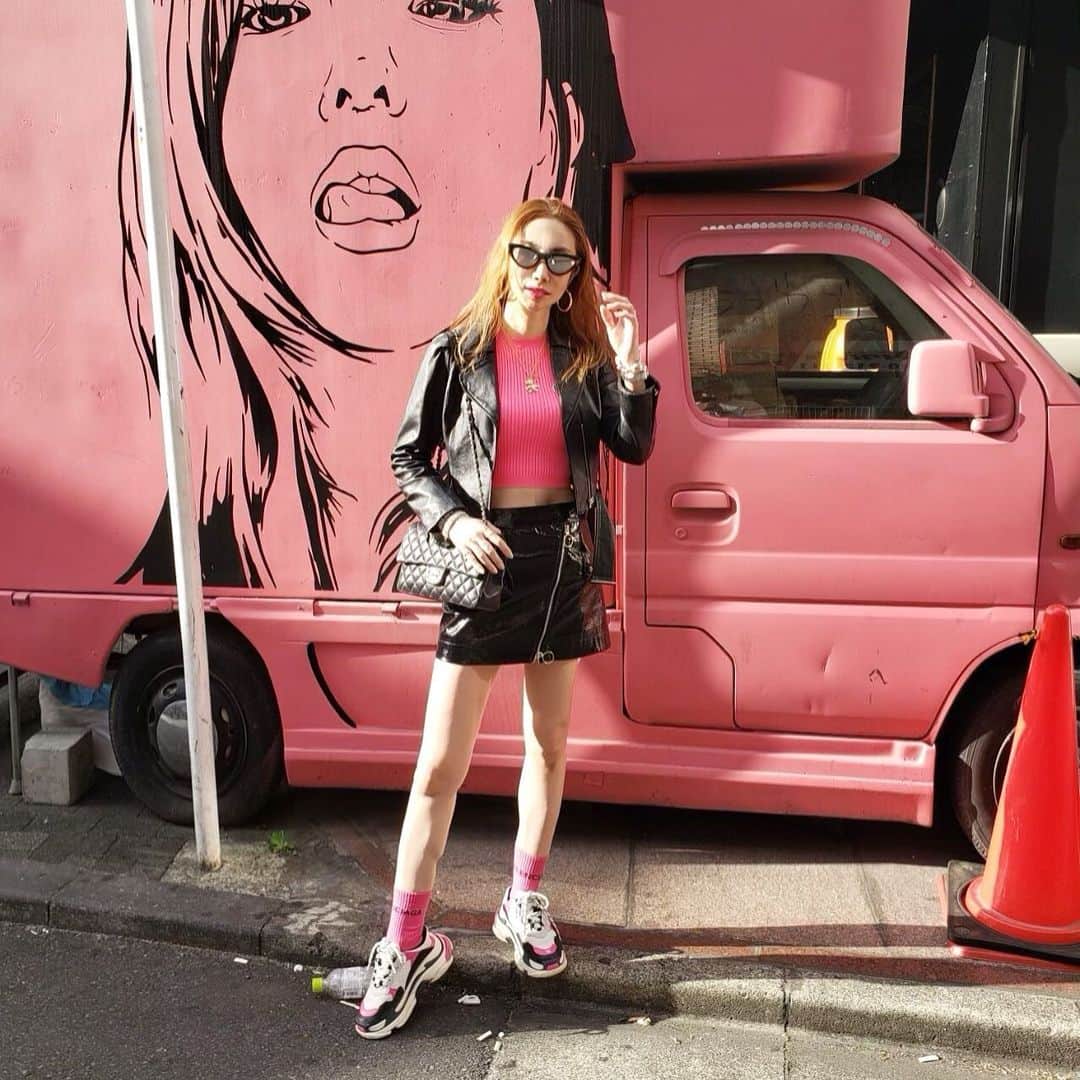fashion dog loverのインスタグラム