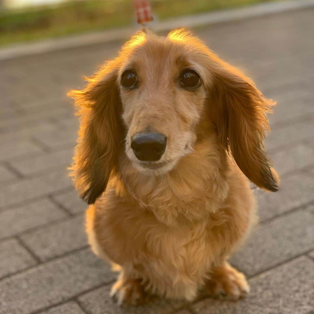 福井晶一のインスタグラム