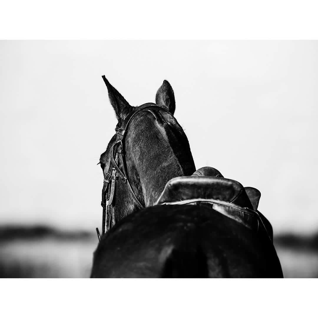 ハケットのインスタグラム：「THE ART OF POLO, 2019 ABI HANCOCK  Hackett London are proud to present the first ever retrospective of Polo today, 23rd May at Christie's Auction House, London, with photographs by Abi Hancock (@theartofpolo). Reflecting the passion, adrenaline and beauty that polo provokes became Abi Hancock's specialty. Explore her work during our exhibition in partnership with @BritishArmyPolo. #HackettXPolo150」