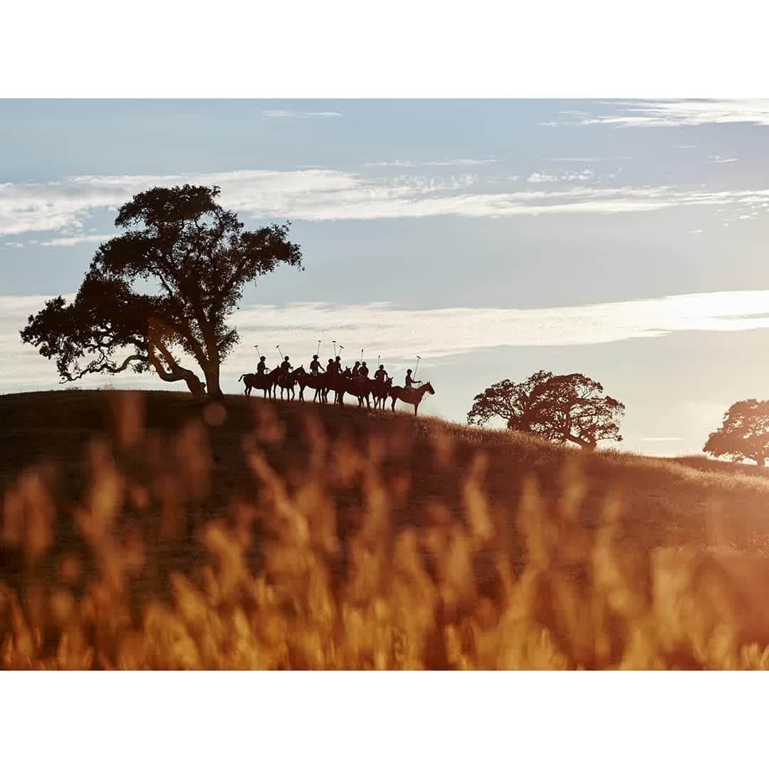 ハケットのインスタグラム：「POLO IN THE HILLS, 2018 DOMINIC JAMES  Hackett London are proud to present the first ever retrospective of Polo today, 23rd May at Christie's Auction House, London, with photographs by @dominic_james_photography.  @dominic_james_photography has been shooting lifestyle, sports and luxury goods imagery for over a decade. His passion for landscapes and horses - particularly in remote locations - is palpable in all his work through the awe-evoking compositions that he stages. Discover his most striking work at our exhibition in partnership with @BritishArmyPolo. #HackettXPolo150」