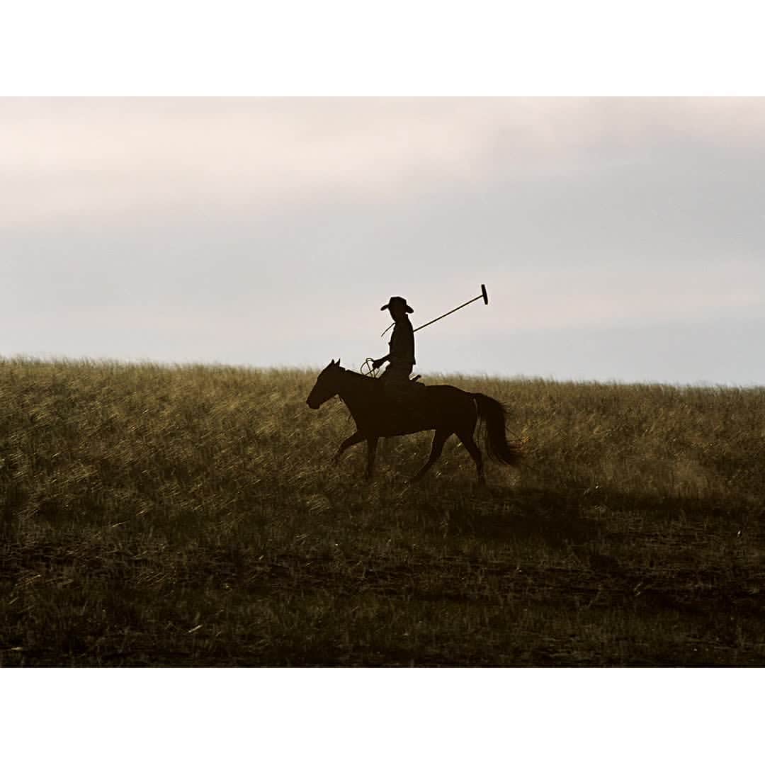 ハケットのインスタグラム：「MONGOLIA STEPPES RHAPSODY, 2006 ALINE COQUELLE  Hackett London are proud to present the first ever retrospective of Polo today, 23rd May at Christie's Auction House, London, with photographs by @alinecoquelle.  Parisian talent @alinecoquelle has seen her work take her all over the world, with her passion for polo coming to life in her book ""Polo: the Nomadic Tribe"". Join us at Christe's to explore her fascinating images and celebrate 150 years of Polo. In partnership with @BritishArmyPolo. #HackettXPolo150」