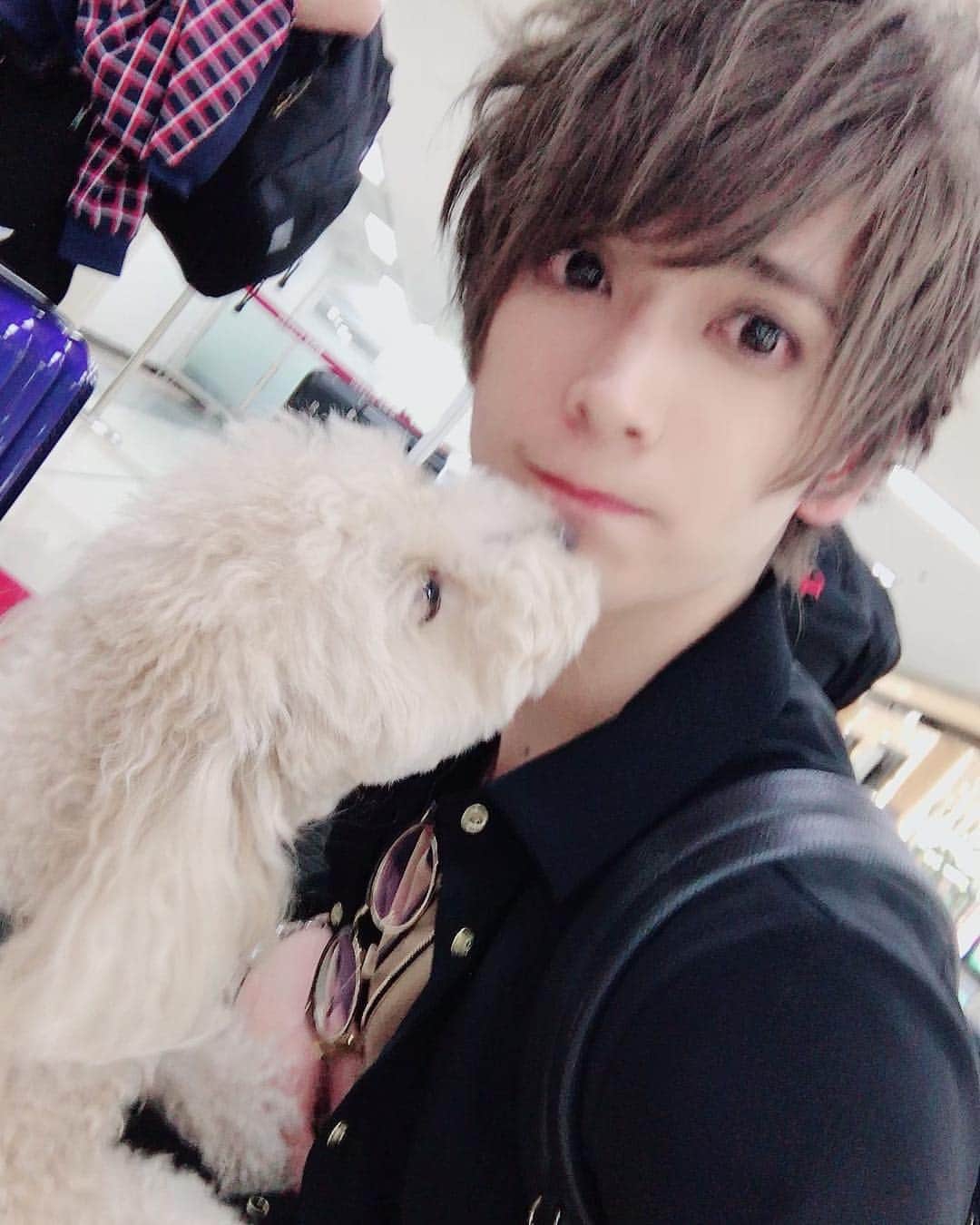 仲田博喜のインスタグラム：「#5月23日 #キスの日  という事で先日、韓国でワンちゃんからキスをいただきました(๑˃̵ᴗ˂̵) 可愛すぎる(ᵔᴥᵔ)  #ワンちゃん #キス #プレゼント #いただきました」