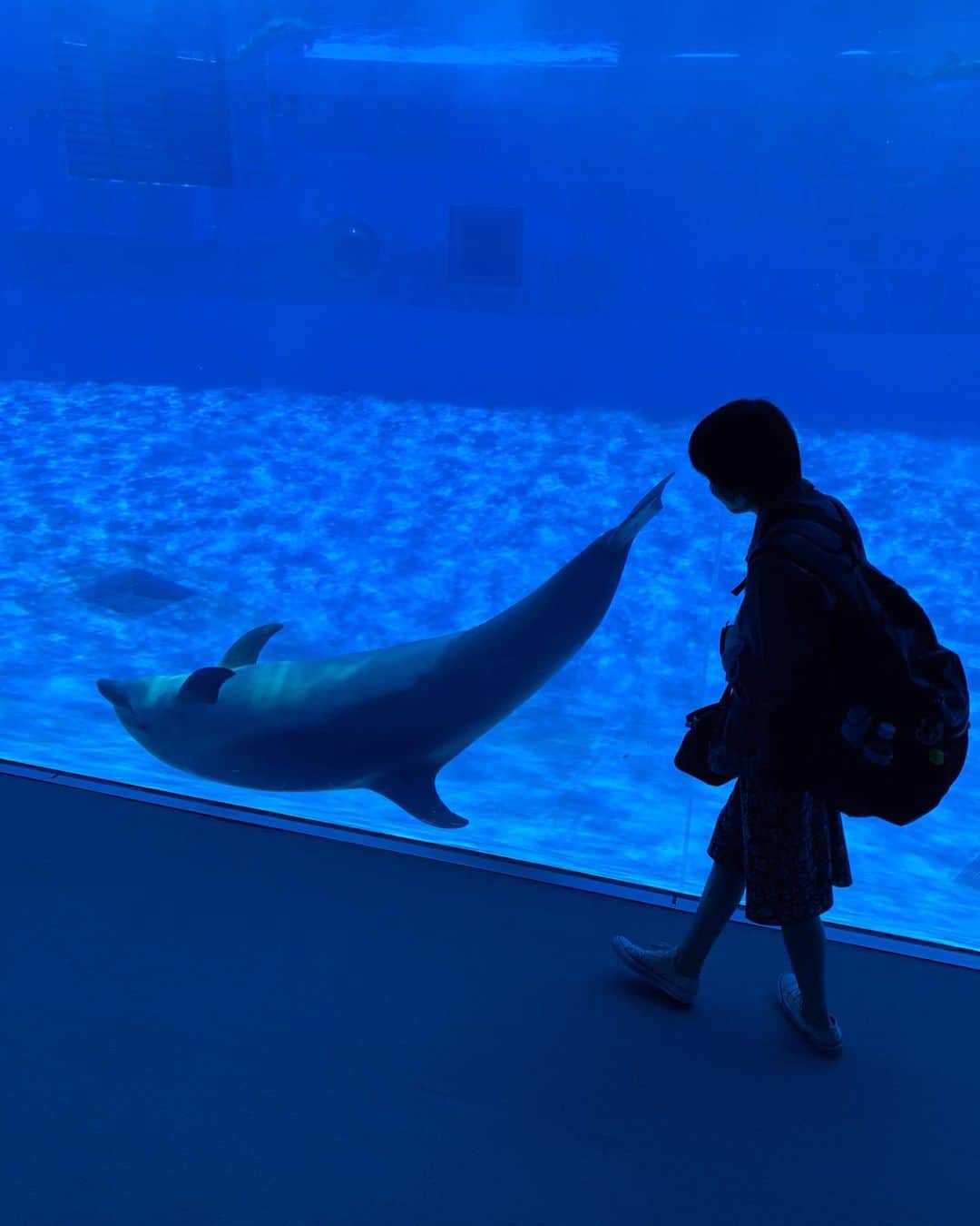 かこさんのインスタグラム写真 - (かこInstagram)「今日はお仕事で名古屋港水族館へ🐬🦈🐟🐙生き物が好きすぎて。サメとか深海魚好き。 #名古屋港水族館 #はらぺこツインズ」5月23日 21時49分 - harapeko__kako