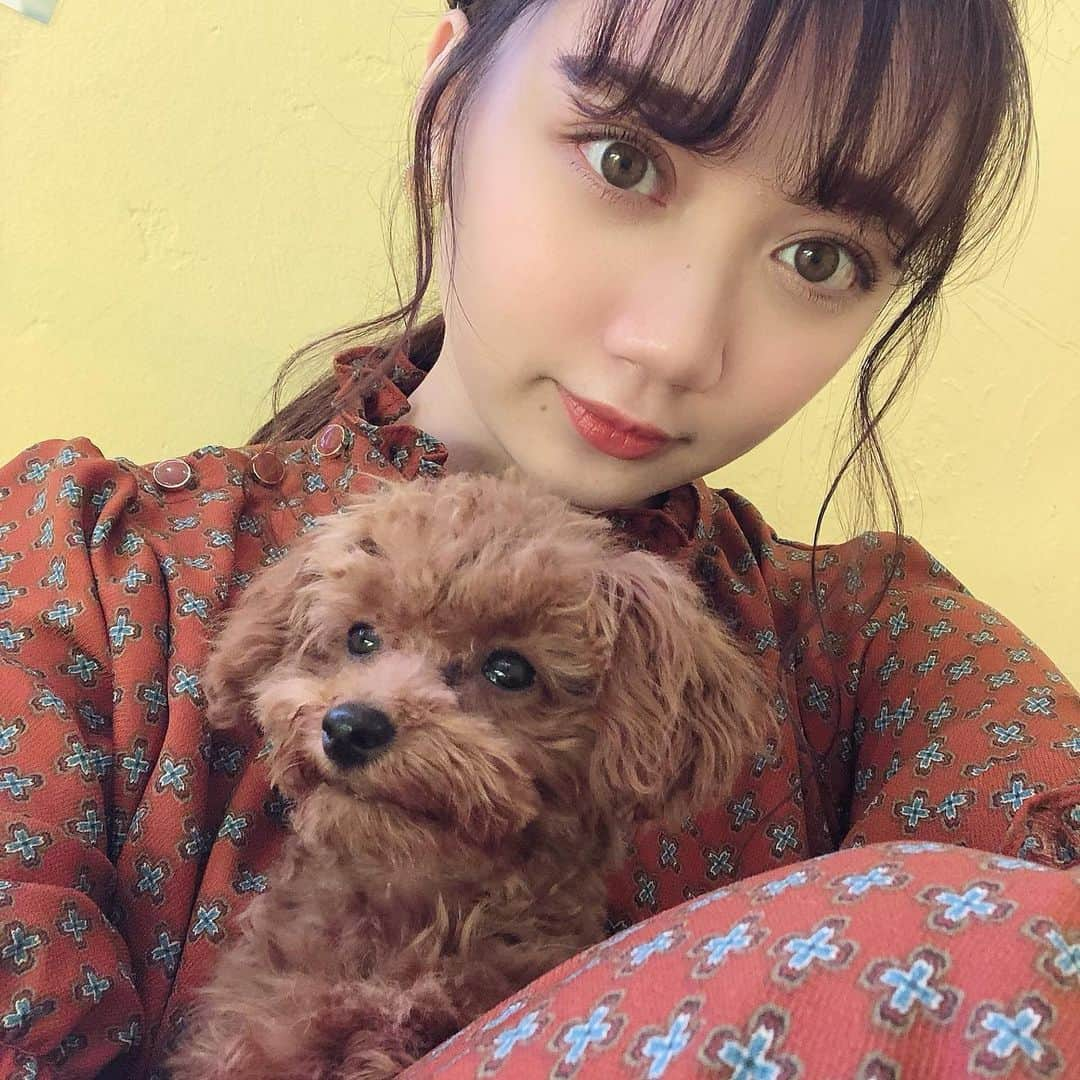 小澤しぇいんさんのインスタグラム写真 - (小澤しぇいんInstagram)「連続投稿失礼します🤫 可愛いわんちゃん達が洋服と何げに同化しちゃってたからわんちゃんのお顔が分かりやすいお写真🐕 可愛いね可愛いね〜犬も飼いたいね〜ぇ。」5月23日 22時35分 - 1217_shane