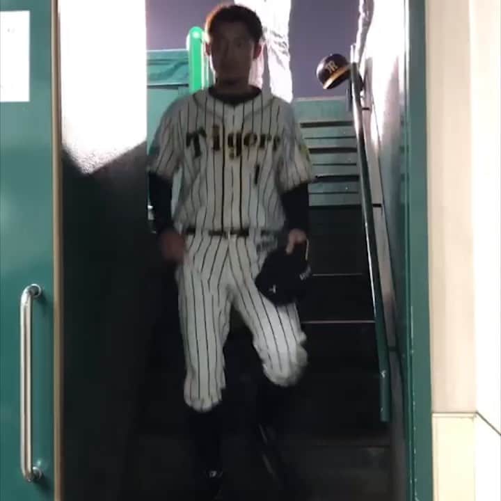 のインスタグラム：「今日のベンチ裏ハイタッチ🤚✨ #勝利のハイタッチ #阪神タイガース」