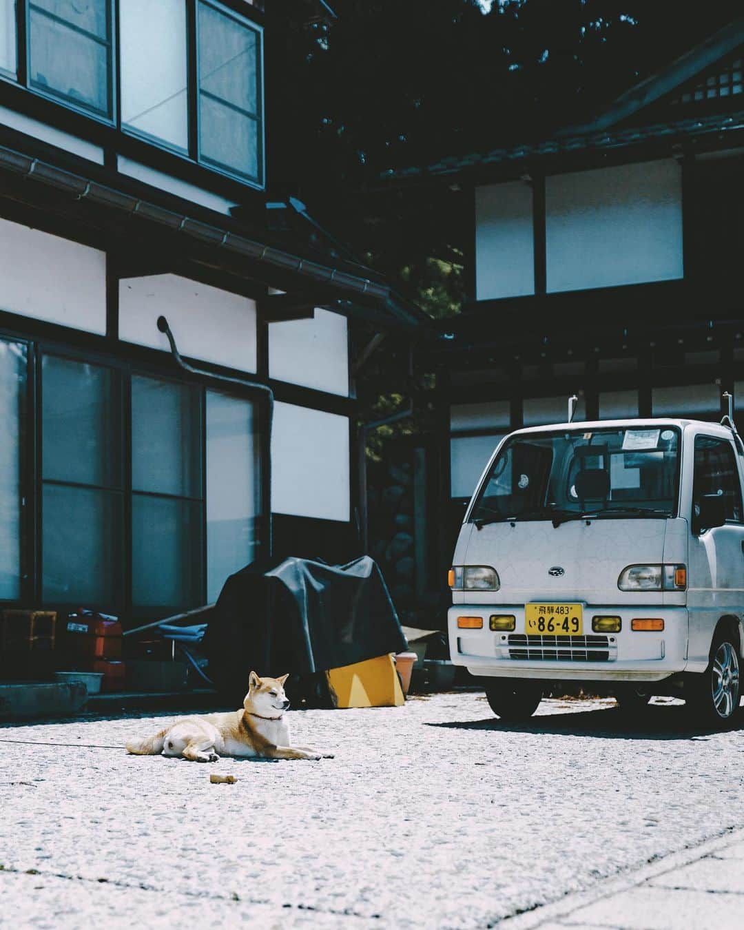 6151さんのインスタグラム写真 - (6151Instagram)「Early summer sound」5月23日 23時23分 - 6151
