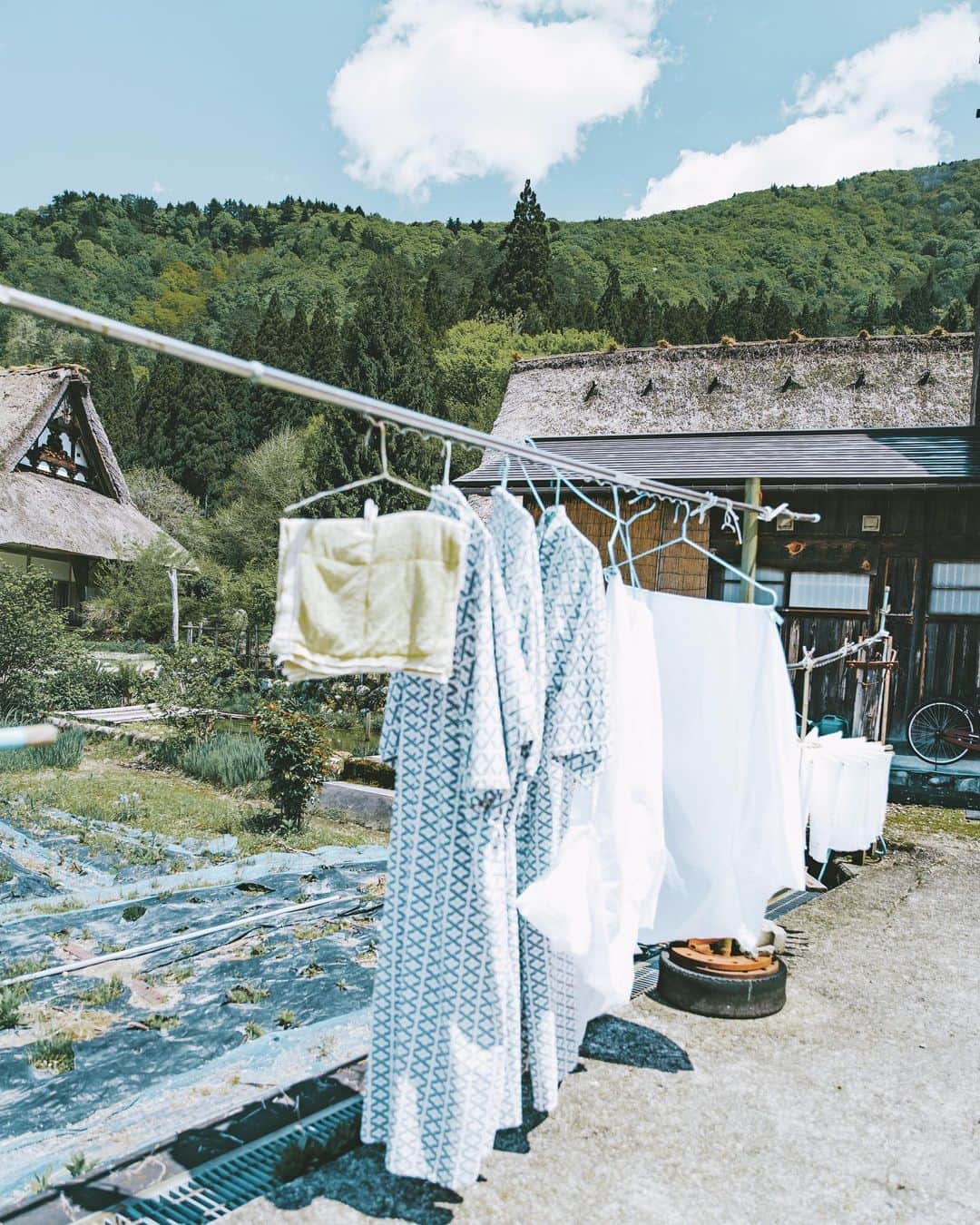 6151さんのインスタグラム写真 - (6151Instagram)「Early summer sound」5月23日 23時23分 - 6151