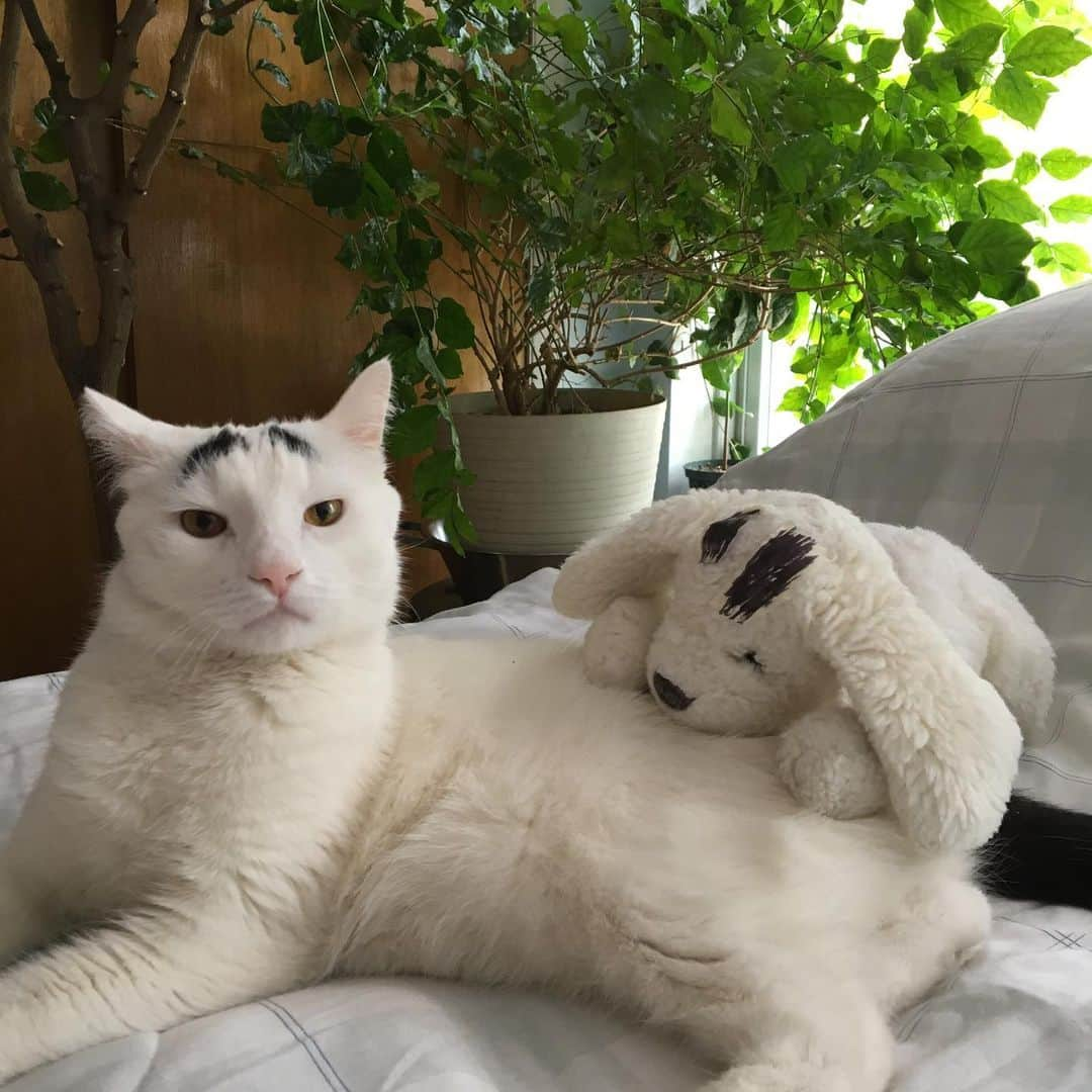 Samさんのインスタグラム写真 - (SamInstagram)「People let me tell you ‘bout my best friend...」5月23日 23時40分 - samhaseyebrows