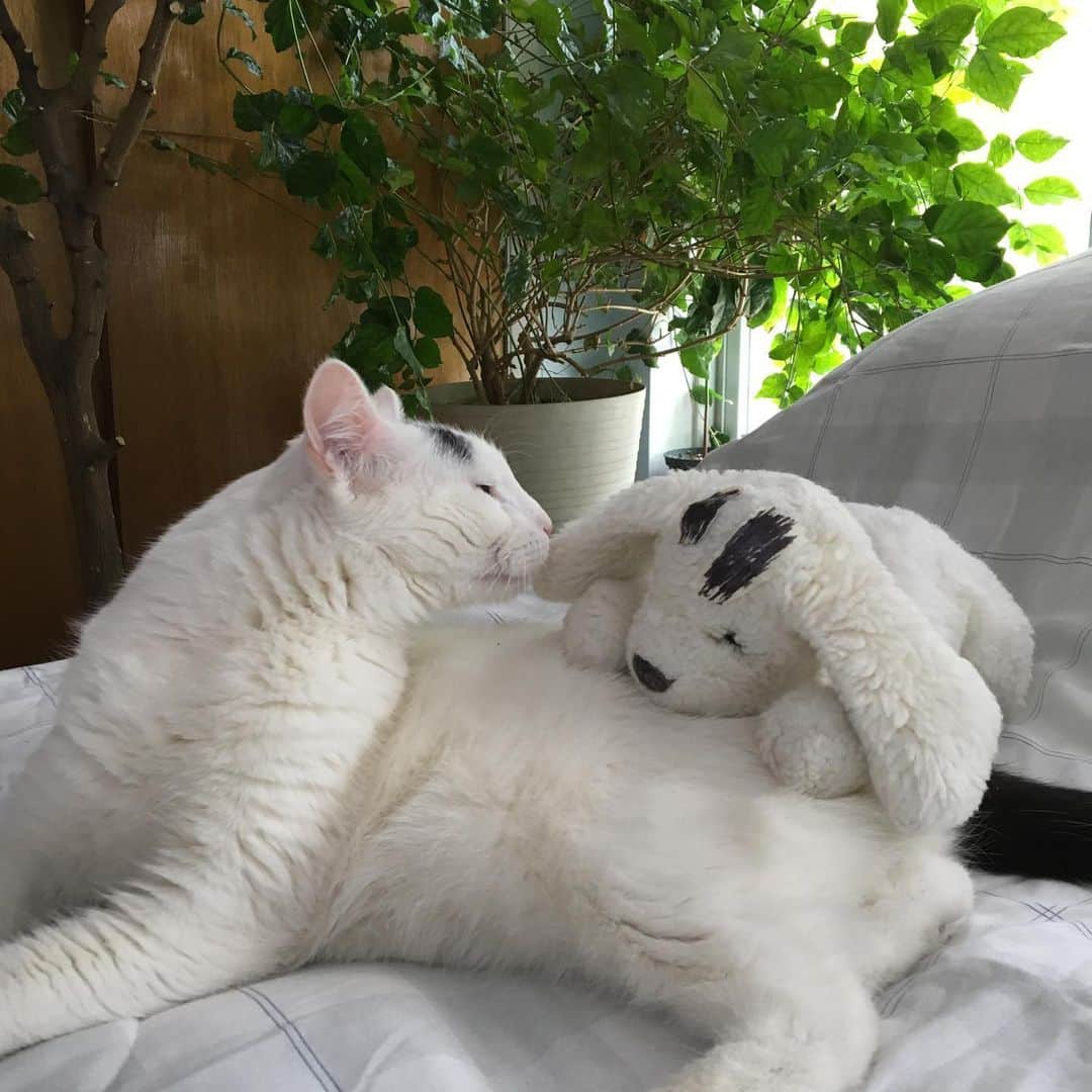 Samさんのインスタグラム写真 - (SamInstagram)「People let me tell you ‘bout my best friend...」5月23日 23時40分 - samhaseyebrows