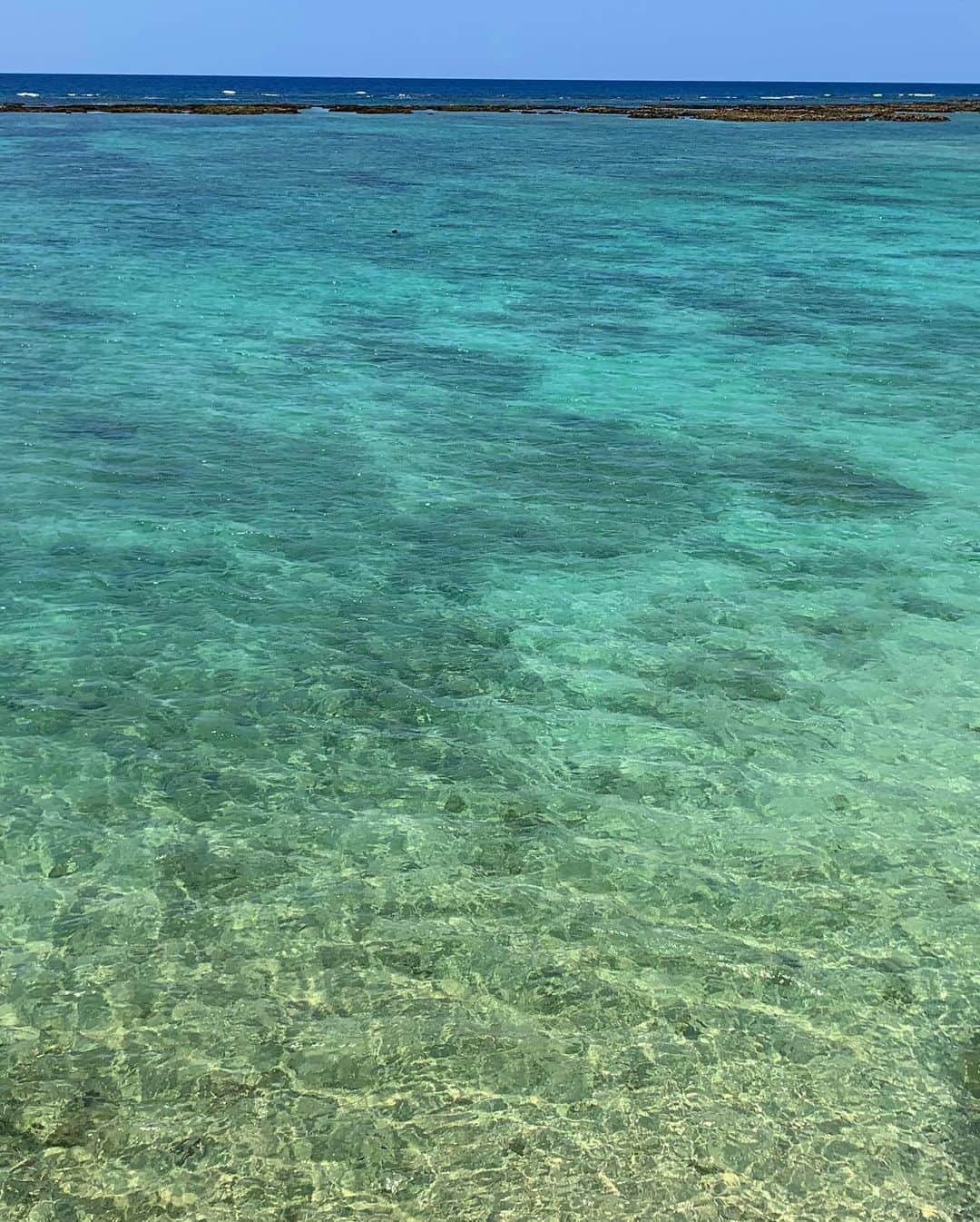 大山加奈さんのインスタグラム写真 - (大山加奈Instagram)「. . とにかく海がすっごく澄んでいて 透明度抜群で すっごくすっごくキレイ‼︎‼︎‼︎ . 感動‼︎‼︎‼︎ . . hawaiiとかまで行かなくても 海のキレイさなら 全然負けてない‼︎‼︎ むしろ徳之島のがキレイかも‼︎‼︎ . . #徳之島 #徳之島旅行 #徳之島観光  #海 #海が好きな人と繋がりたい  #きれいな海 #ビーチリゾート #離島  #離島巡り #離島旅行 #海が好き」5月23日 23時48分 - kanaoyama0619