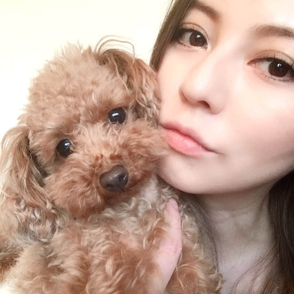 香里奈さんのインスタグラム写真 - (香里奈Instagram)「Happy Birthday my sweet girl Lemon chan!! She just turned 4years old tonight🐩❤️ ずっと仲良くしてね！！😆✨ #香里奈 #karina #れもん #lemon #4歳 #4yearsold #523 #toypoodle  #トイプードル #smallest #cutie #tresure #family」5月24日 0時00分 - karina_official_221