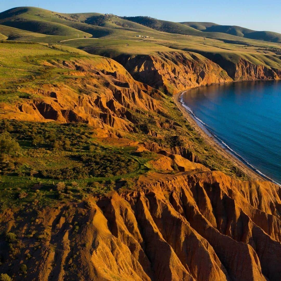 Australiaさんのインスタグラム写真 - (AustraliaInstagram)「It’s golden hour at #SellicksBeach 🌄 @hellokaiphotography spent a day off in this beautiful part of @officialfleurieupeninsula, where these prominent hills of Sellicks Hill Range roll down towards broad sandy beaches. Located an hour’s drive from #Adelaide, here you can find one of the few beaches in @southaustralia where parking is allowed on the sand, so you can drive right up to it to set up your #beach day. Make sure you go up the road to the historic @victoryhotel for some food with a view, we know how hungry you can get spending a lazy day at the beach. 😉  #seeaustralia #seesouthaustralia #fleurieupeninsula #travel #thegreatoutdoors」6月22日 4時00分 - australia