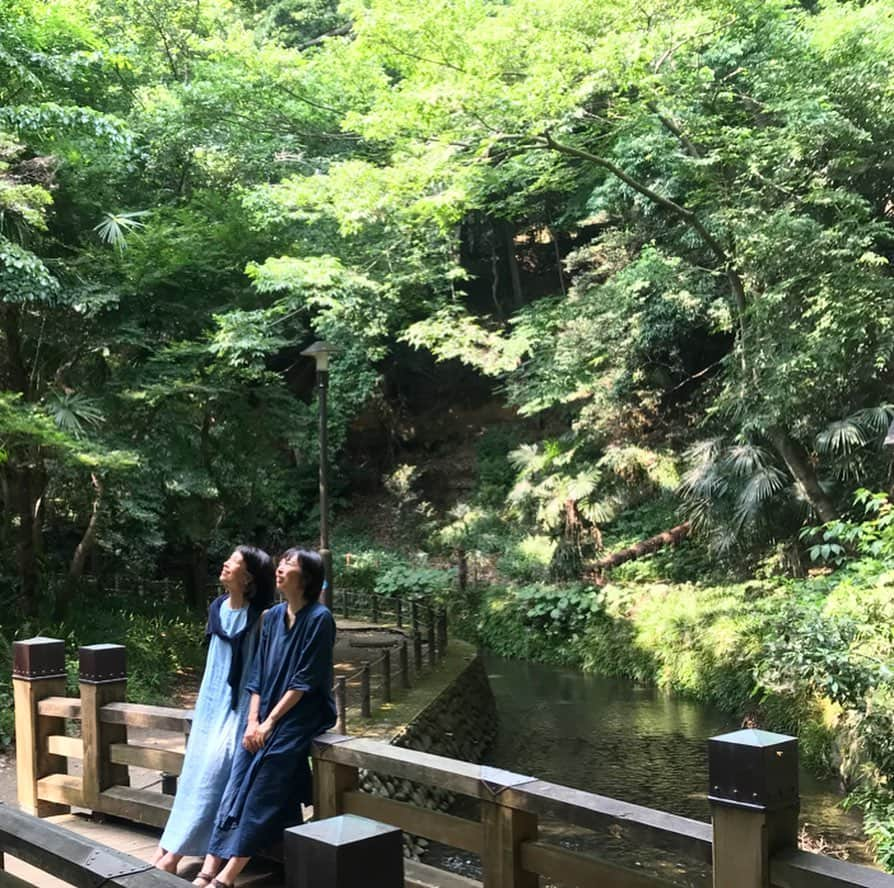 AYUMIさんのインスタグラム写真 - (AYUMIInstagram)「都会のオアシス🍀 等々力渓谷、とても気持ちがいいところなんですね。 撮影ものんびりとお散歩をしている気分で 自然の光や風を感じると 心もゆるみます . . #都会のオアシス #自然 #光 #撮影 #ここにもみゆきちゃん #今日という日にも感謝して」6月21日 19時41分 - ayumiayunco