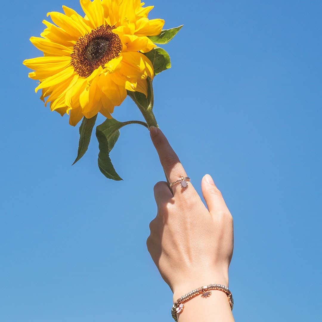 ドドさんのインスタグラム写真 - (ドドInstagram)「O SOLE MIO! Glow brighter than a sunflower this Summer with the new Nature collection. #dodojewels #dodocharm #ring #sun #bracelet #cherryblossom  #naturecollection」6月21日 19時54分 - dodojewels