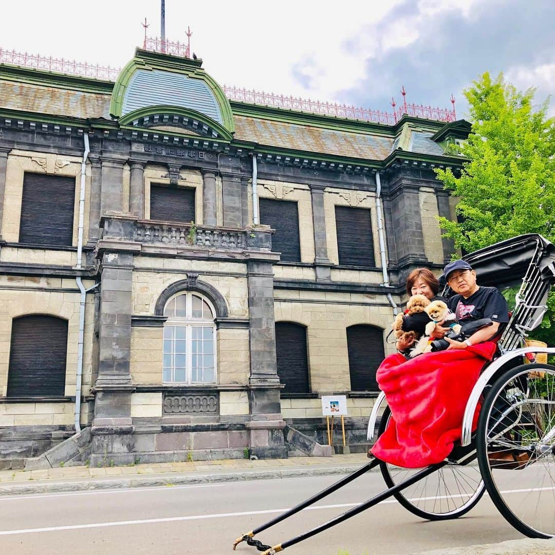 中野佑美さんのインスタグラム写真 - (中野佑美Instagram)「ココなっつお出かけ🚗💨 北海道旅 最終日 定山渓宿→札幌 白い恋人パーク→小樽  小樽でワンコと一緒に食べられるお寿司屋さん (町の )さん  寿司屋通りにありますよ🍣贅沢おススメいただきました😋→三角市場  カニ宅配🦀😊 最後の観光 小樽 運河クルーズがワンコ🆖だったので、人力車 えびすや さんに！イケメンお兄さんのガイドで満喫🤩 人力車  よかった〜👍おススメよ😊 さぁ  フェリーに乗ります🚢  #イヌトミィ_小樽 #わんことお出かけ  #わんこと旅行  #小樽  #人力車えびす屋  #えびすや小樽  #ココなっつ  #ココなっつおでかけ  #きょうのわんこ  #pecoいぬ部  #いぬなしでは生きていけません会  #east_dog_japan  #といぷーどる  #ぽめらにあん  #いぬたび  #いぬ部  #休日いぬ部」6月21日 20時44分 - yumi.coconutsu