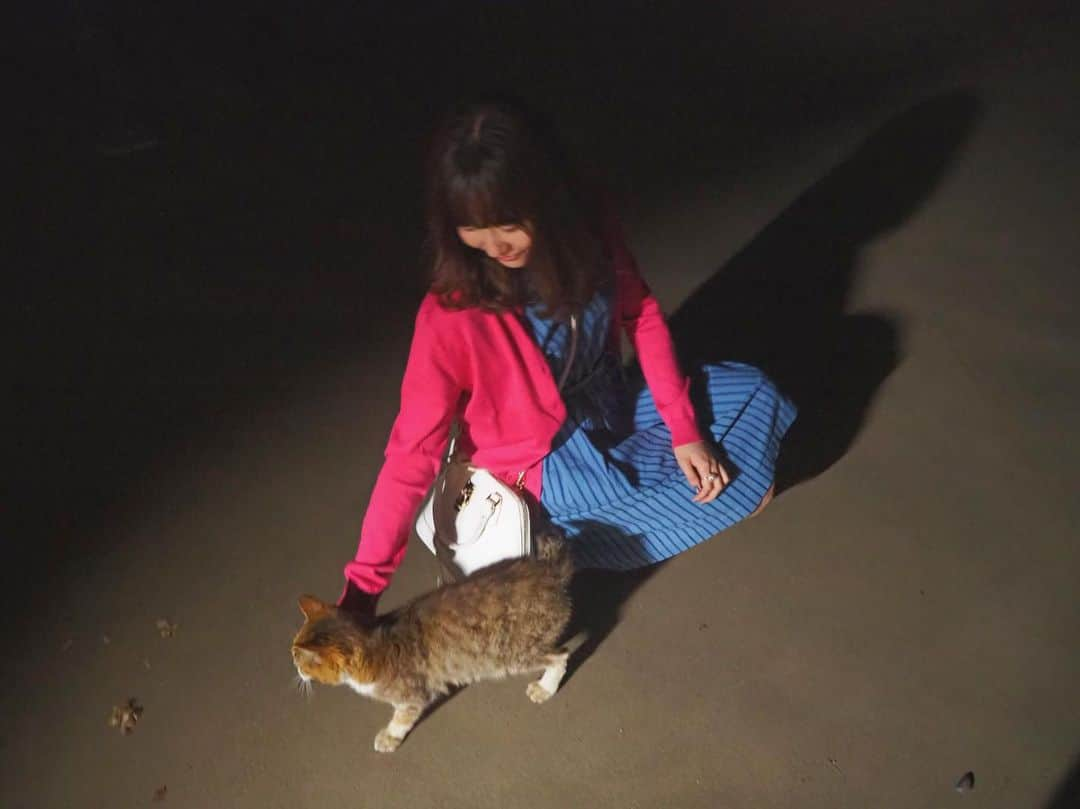 CHIHARUさんのインスタグラム写真 - (CHIHARUInstagram)「ねこ氏と、ふれあう。🥺」6月21日 21時01分 - chihalook1108