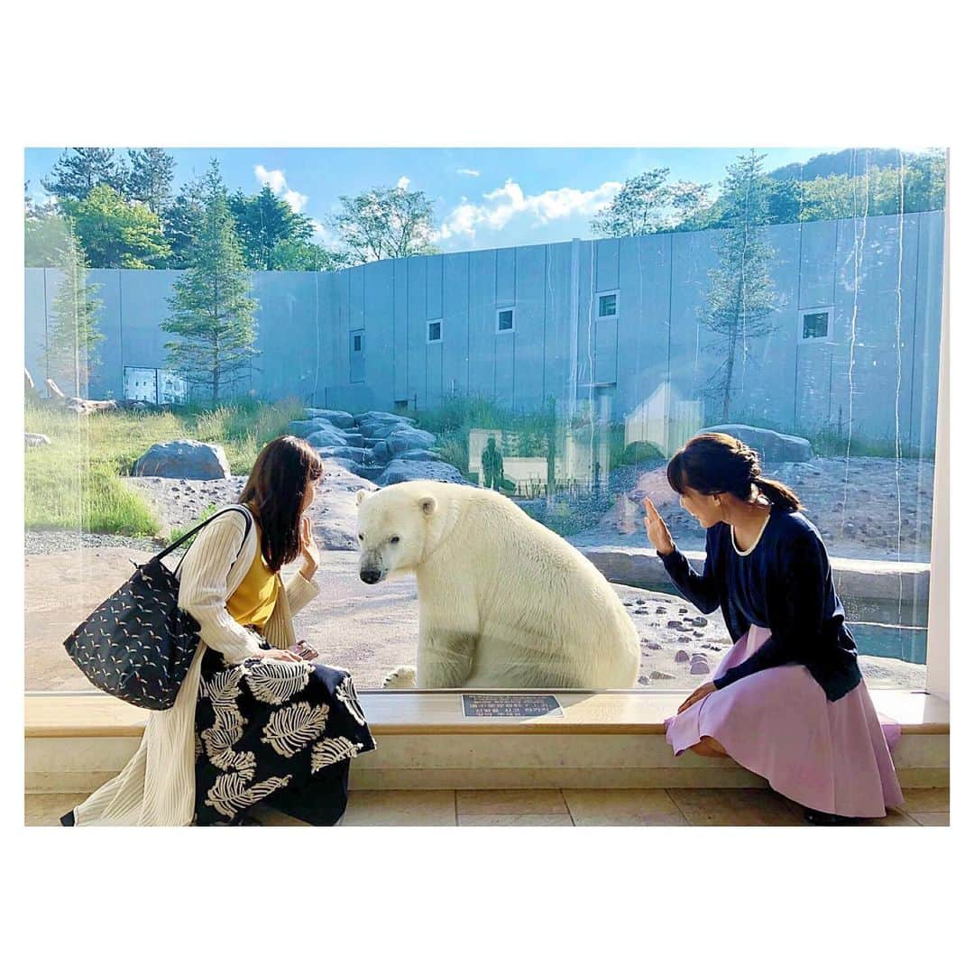 色紙千尋さんのインスタグラム写真 - (色紙千尋Instagram)「久しぶりに動物園に行ったら、すごく楽しかったんです😳✨本当癒されるし、生態がおもしろいし、どの動物もとても近い距離で会えて感激でした🙌✨みんなちがって、みんないい👏笑 #円山動物園 #動物園 #札幌 #札幌観光」6月21日 21時22分 - shikishi_chihiro