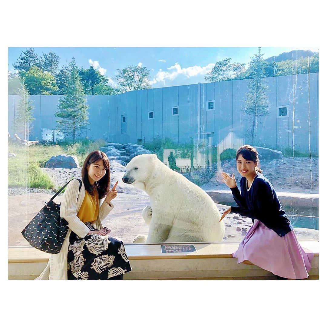 色紙千尋さんのインスタグラム写真 - (色紙千尋Instagram)「久しぶりに動物園に行ったら、すごく楽しかったんです😳✨本当癒されるし、生態がおもしろいし、どの動物もとても近い距離で会えて感激でした🙌✨みんなちがって、みんないい👏笑 #円山動物園 #動物園 #札幌 #札幌観光」6月21日 21時22分 - shikishi_chihiro