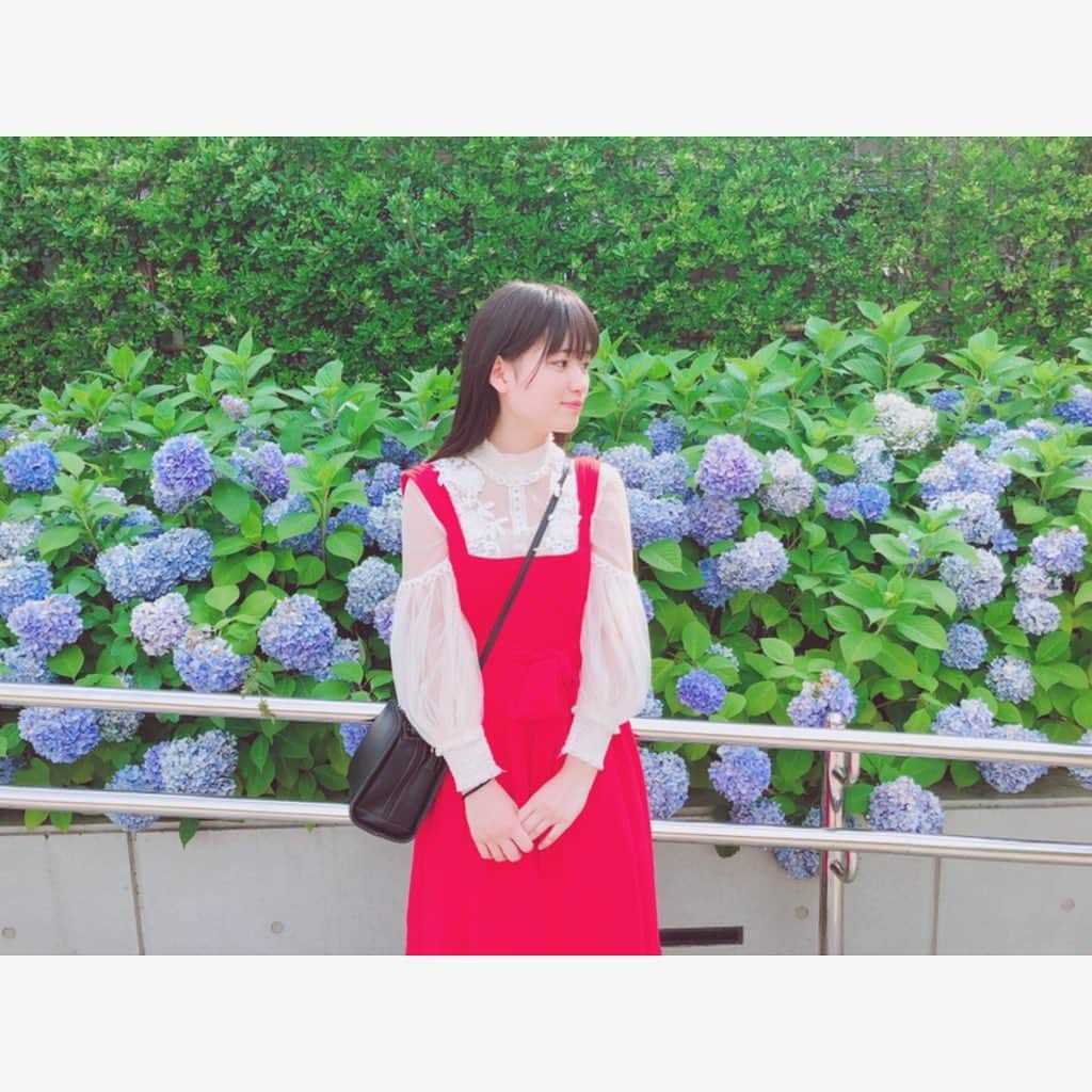 のインスタグラム：「紫陽花がキレイでした  #滝口きらら #ゑんら」
