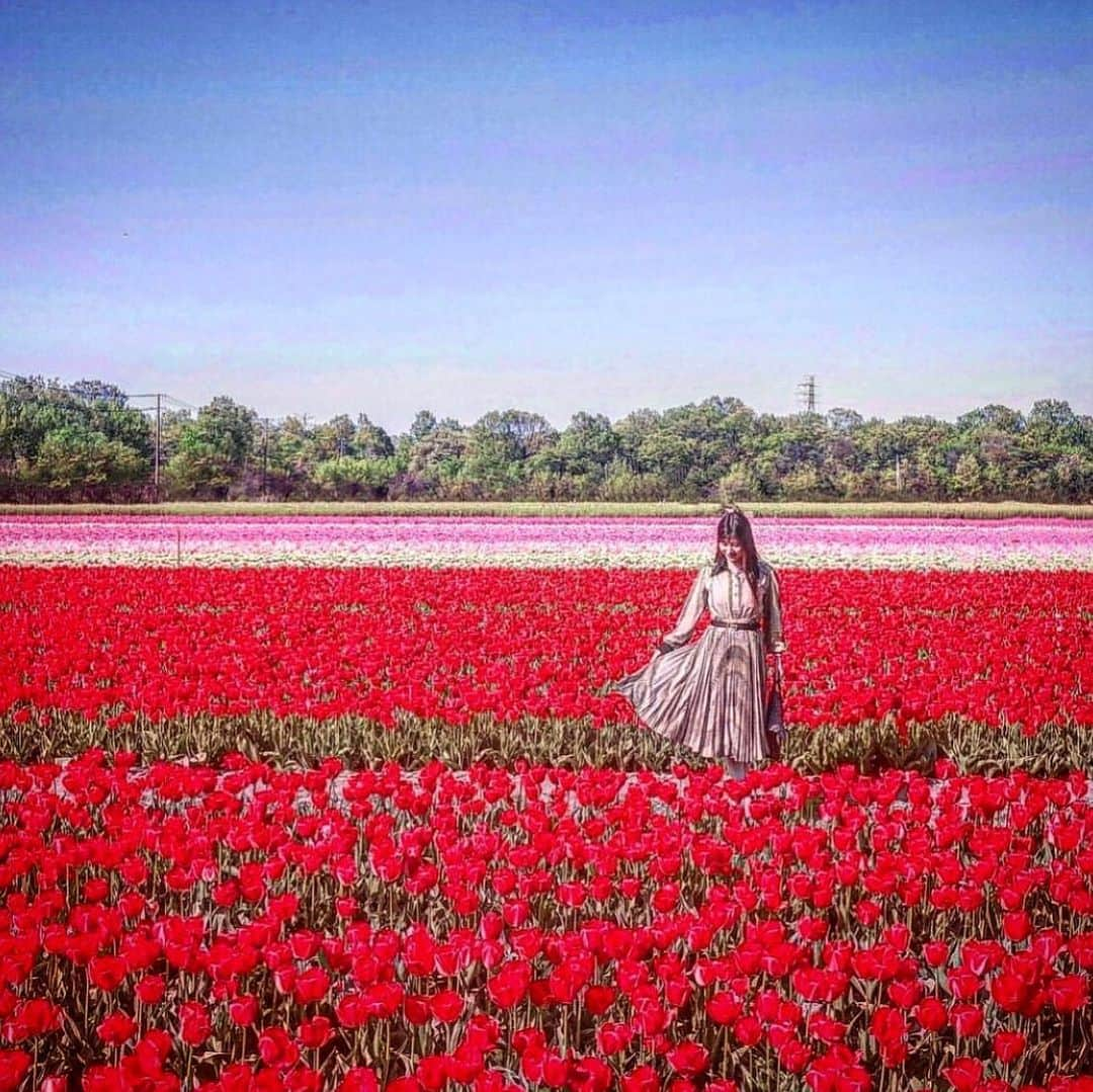 清水彩子のインスタグラム