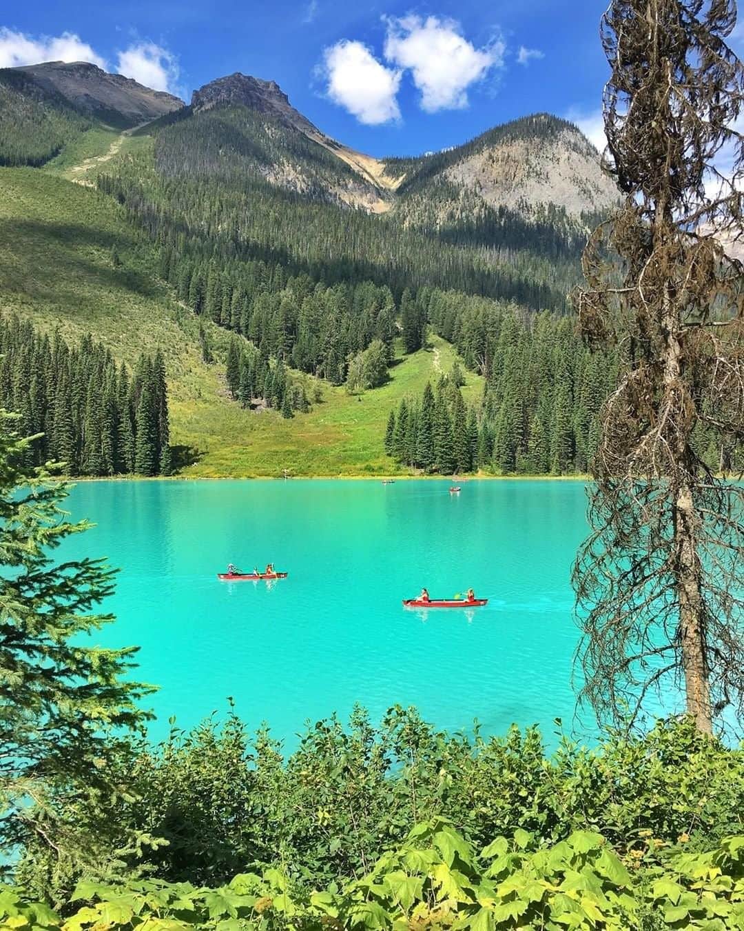 Travel + Leisureさんのインスタグラム写真 - (Travel + LeisureInstagram)「The best part of Canada has to be its natural, gorgeous landscape — find out why Alberta is one of the best summer destinations for couples at our link in bio! #tlpicks courtesy of @mthiessen」6月21日 23時11分 - travelandleisure