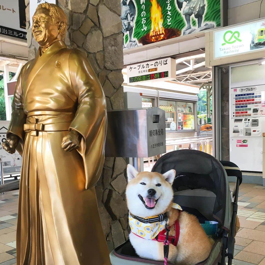 てんパパのグルメインスタ