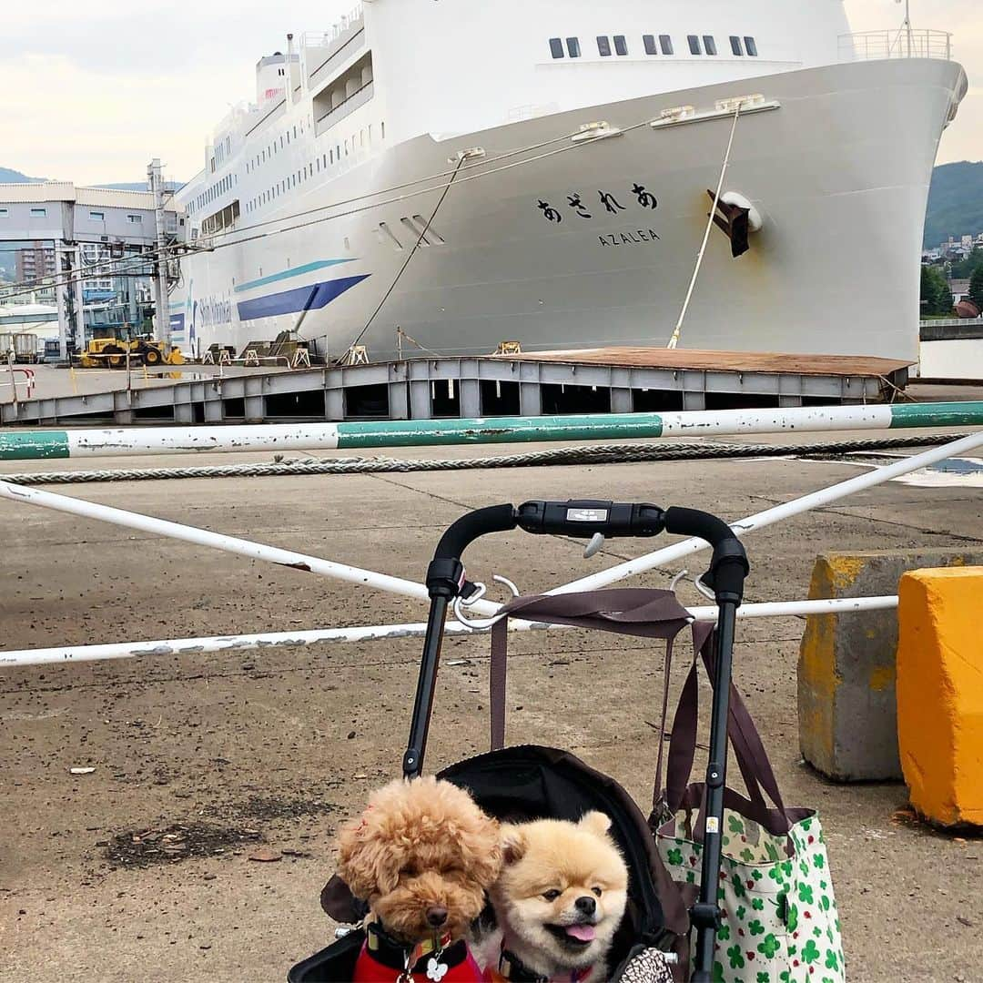 中野佑美のインスタグラム