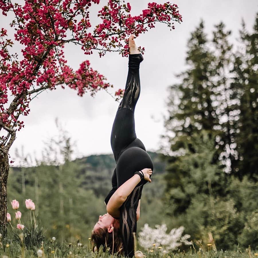 ALO Yogaさんのインスタグラム写真 - (ALO YogaInstagram)「🧘‍♀️HAPPY INTERNATIONAL YOGA DAY🧘‍♂️ At Alo, we believe in bringing yoga & mindfulness to the world — it’s something we work toward every single day ✨ Each one of you is not only part of this mission, but part our family. Thank you for being our community, our warriors, our friends 🙏 We are so inspired by you ❤️ Join us for a mega-awesome LIVE INSTA CLASS from 12-1pm PST on @aloyoga to celebrate! GIVEAWAY CLOSED! Thank you to everyone who participated💕 ❤️ And, as a gift to you on this International Yoga Day, we are doing a super-special ⚡️GIVEAWAY⚡️ You have the chance to win: 1. A one-year UNLIMITED membership to one of our studios 2. A six-month @alo.moves membership  3. A must-have Alo set! ✨ HERE’S HOW TO ENTER! 1. Follow us on Instagram 🙌 2. Like & comment on this post & tag two friends 👯‍♀️ ✨ A winner will be selected on June 28th 🙏」6月21日 23時56分 - aloyoga