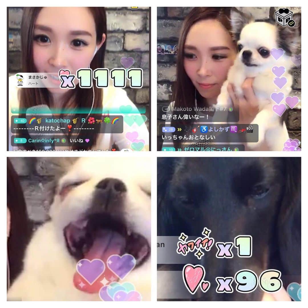愛内里菜のインスタグラム：「今週もポコチャやイチナナの﻿ 生配信を見てくださったみなさま！﻿ ありがとうございました‼️😆🙏﻿ ﻿ ﻿ みんなの応援のお気持ちが﻿ 毎日ほんと嬉しくて﻿ しっかりと受け止めております🥺💗﻿ ﻿ ポコチャの方では﻿ 今日も色々とスタンプギフトの﻿ 1位をみなさまの応援のおかげで獲得できました🙇‍♀️💗﻿ ﻿ ハートに関しては﻿ ダントツです🙏‼️﻿ ﻿ ﻿ 週末ゲリラ配信ができれば﻿ 寸前になりますがお知らせします！﻿ ﻿ 来週月曜日は﻿ お昼１２時から﻿ ボイトレの先生と一緒に﻿ ボイトレ風景も交えながら﻿ ポコチャ配信しまーす☺️﻿ ﻿ ﻿ #生配信 #配信開始 ﻿﻿ #ポコチャ  はじめました #Rポコチャ﻿ #17 はじめました #イチナナ﻿ #愛内里菜 改め #R として #歌手 再始動﻿﻿﻿﻿﻿﻿ #垣内りか #垣内倶楽部 ﻿﻿﻿﻿﻿﻿ #新曲 #邦ロック#ミュージック#音楽の力﻿﻿﻿﻿﻿﻿﻿ #音楽﻿﻿﻿ ﻿ ﻿」