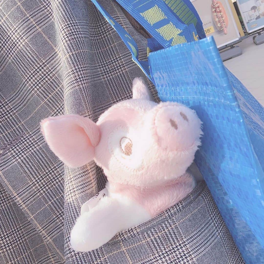 川崎成美さんのインスタグラム写真 - (川崎成美Instagram)「おうちまで連れて帰りました。 . #こぶた #ちゃんとお会計しました #IKEA」6月22日 0時05分 - naru_1127