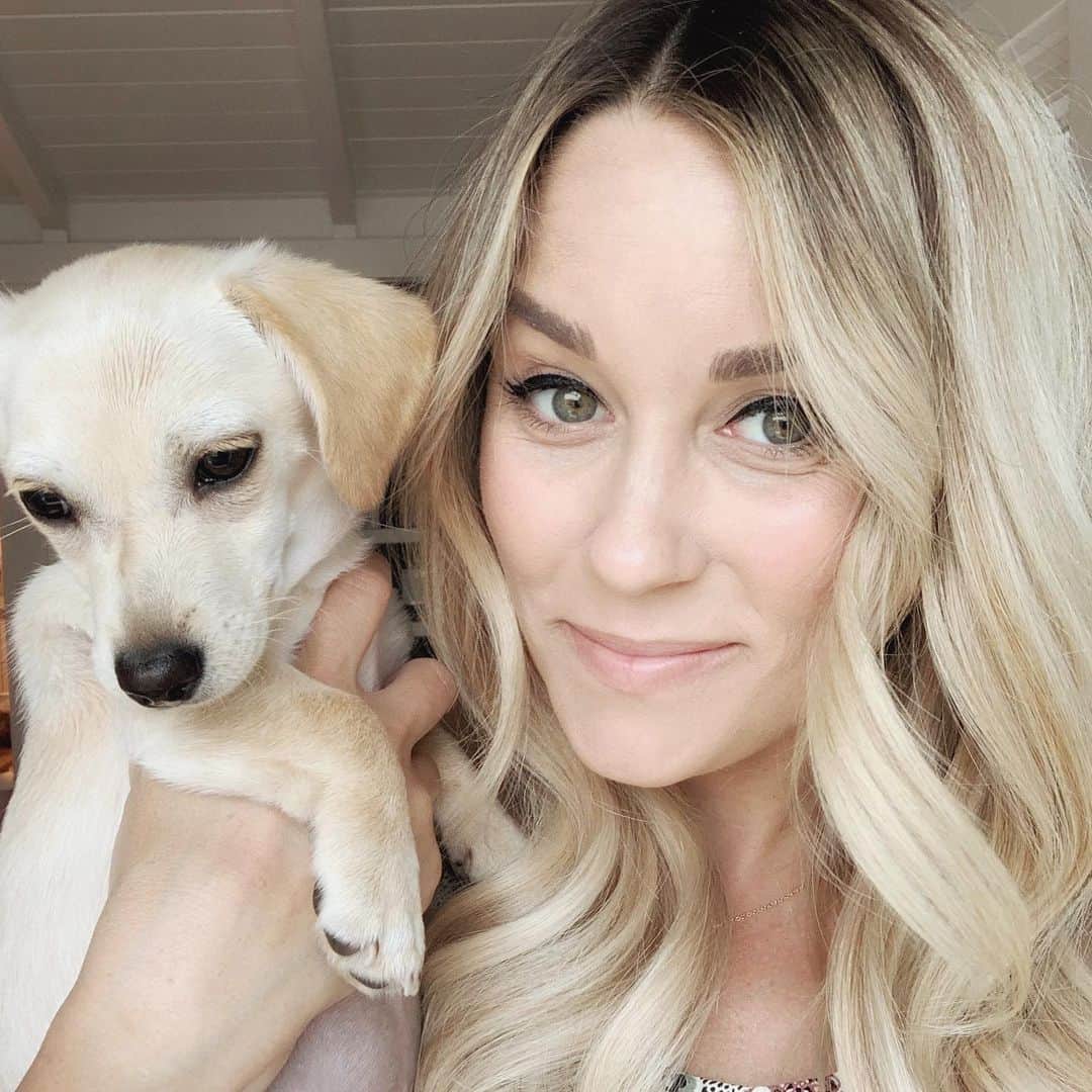 のインスタグラム：「Another little one has joined our pack 💛 Thanks @wagsandwalks for bringing this sweet girl into our lives!」