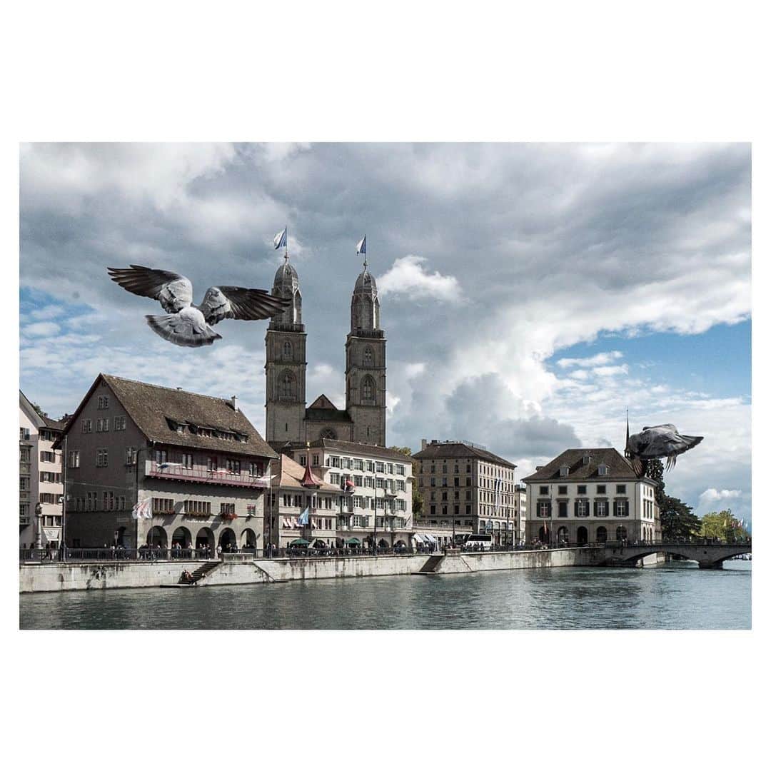 Pete Halvorsenさんのインスタグラム写真 - (Pete HalvorsenInstagram)「Looking forward to heading back to Germany and Switzerland next week . ...maybe some narrow cobblestone streets, a few castles, ride some trains that are always on time, enjoying an ice cold beer with a view, "these are a few of my favourite things..." . Leica Q」6月22日 0時11分 - petehalvorsen