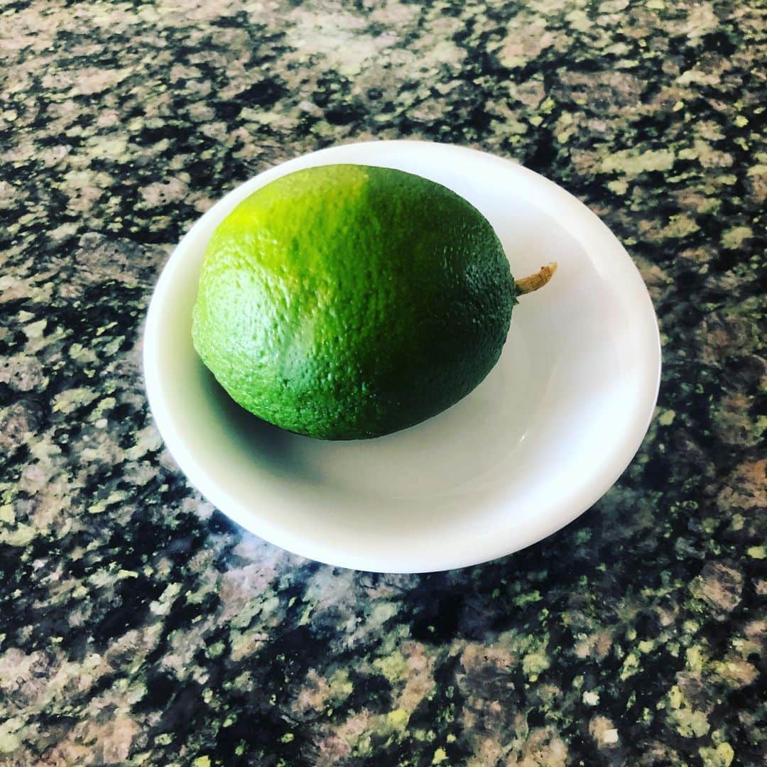 デイブ・クーリエさんのインスタグラム写真 - (デイブ・クーリエInstagram)「I’ve been working on this dish all morning. I call it ‘Sublime.’ Have a great weekend. Ingredients:Lime #foodiefriday #chef #culinary #cutitout」6月22日 0時39分 - dcoulier