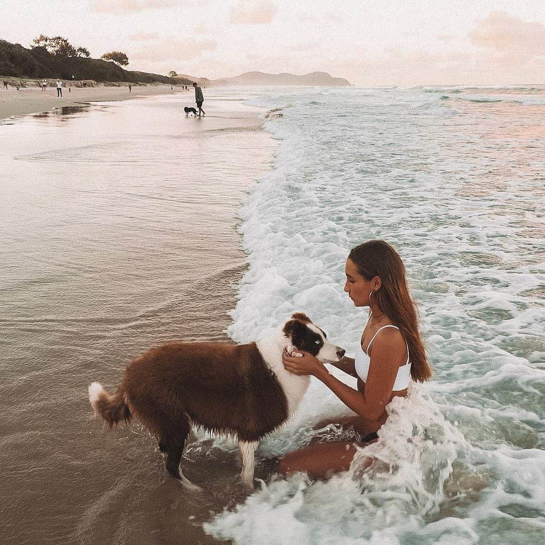 PAUL HEWITTさんのインスタグラム写真 - (PAUL HEWITTInstagram)「Best days at the beach are shared with a best friend. 🐾🌊⚓️ (photo @saxonkent) #getAnchored #paulhewitt  __ #dog #doglover #beach #ocean #sea #doglove #bestfriend #timeout #waves #summer #summertimes」6月22日 0時40分 - paul_hewitt