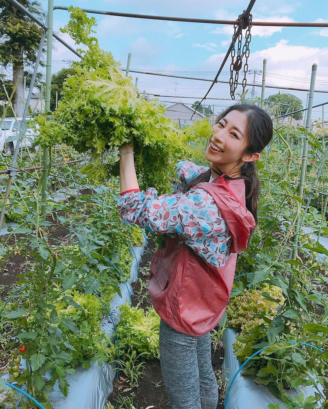 名越涼子のインスタグラム