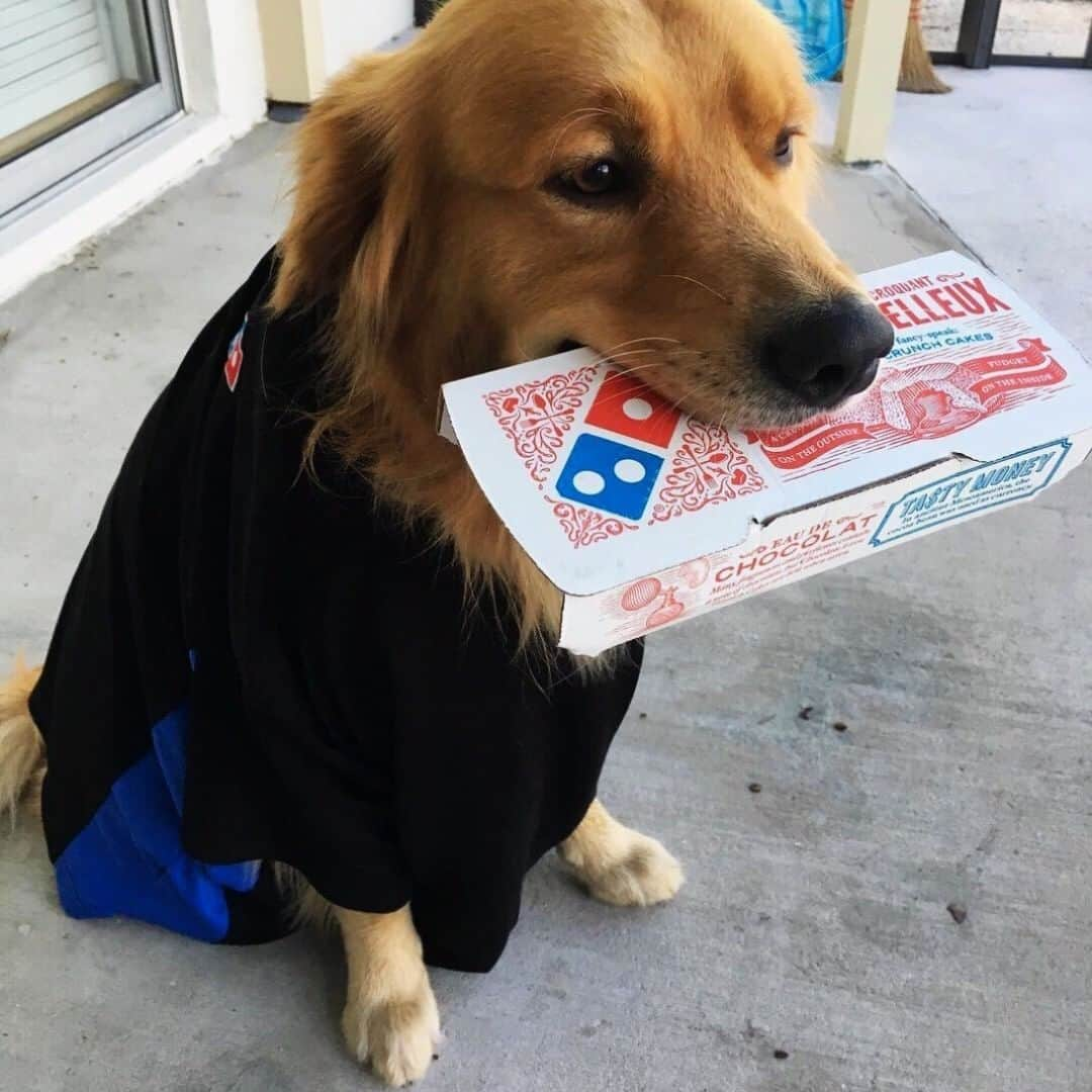 Domino's Pizzaのインスタグラム