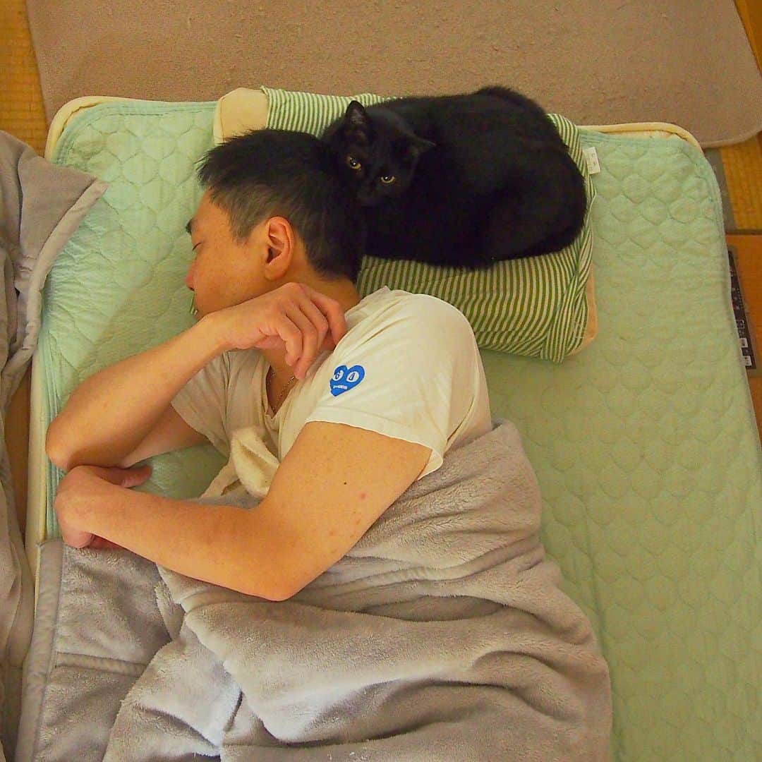 nemuru_catさんのインスタグラム写真 - (nemuru_catInstagram)「#ベム#眠る夫  ベムきゅんといっしょに寝ようよ💤 前から見るとちょっとしか 見えないけど 後ろから見ると マクラほとんどとってるし このくらいじゃ夫起きないし😸 おやすみにゃさ〜い😴 * #ねこ部#cat#cats#neko#猫#catsofinstagram#bestmeow#catlover#instagramjapan#ふわもこ部#黒猫」6月22日 2時27分 - nemuru_cat