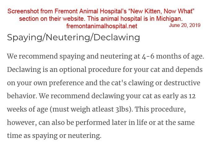 City the Kittyさんのインスタグラム写真 - (City the KittyInstagram)「Fremont Animal Hospital in Fremont, Michigan has this info on their website in their "New Kitten, Now What" section and they also declaw cats for a local animal rescue. 🙀  The declawing veterinarian, Dr Marie Breuker, of Fremont Animal Hospital told us in an email, "Many Americans are lazy and many prefer declawed cats even with the knowledge of the negative repercussions." We are doing a poll and want to ask you if you think Dr Breuker is right, that Americans are lazy and even if they know that declawing harms and mutilates their beloved cats, they will still do it.  Or is Dr Breuker wrong and if Americans are educated about how declawing harms the health and well-being of their beloved cats, then they will care about their welfare and use the easy, humane alternatives.  #poll  #voiceforthevoiceless  #WestMichigan #FremontMichigan #michiganveterinarian #PawsNeedClaws #stopdeclawing」6月22日 2時58分 - citythekitty