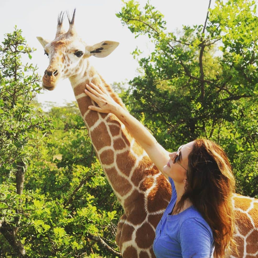 クリスティン・デイヴィスさんのインスタグラム写真 - (クリスティン・デイヴィスInstagram)「It is #worldgiraffeday and I did a piece for @peoplepets back in 2016 about the “ silent extinction” of this beautiful and taken for granted species. This is Kiko, he currently lives at @sheldricktrust where he has been raised since being orphaned as a baby. He will be released into the Wild when a safe place is found for him. I’m lucky to have been able to be close to him, i literally have thousands of pics of giraffe from my travels. They are curious and skittish at the same time. I hope that we can step up to help save them.....」6月22日 3時11分 - iamkristindavis