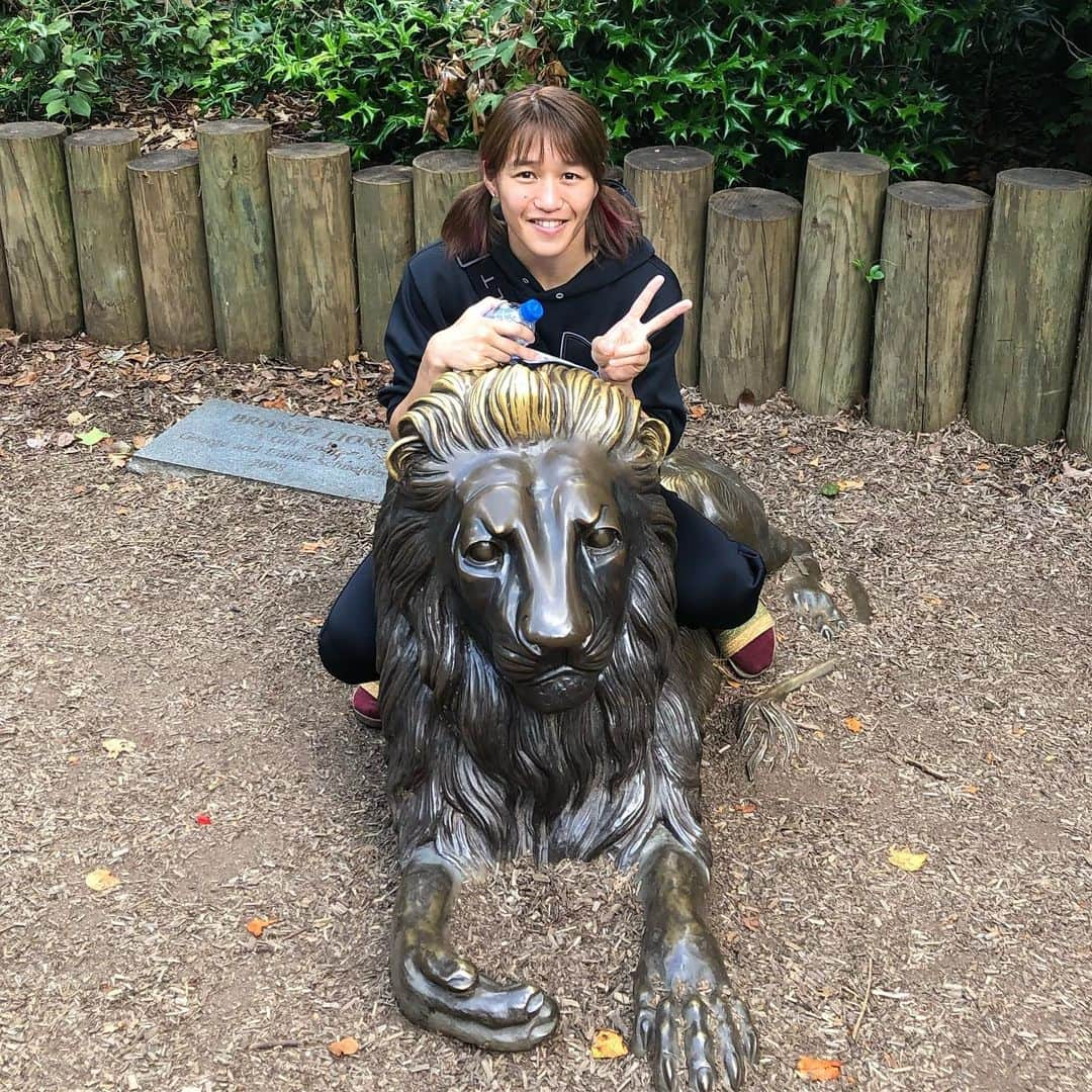 朱里さんのインスタグラム写真 - (朱里Instagram)「greenville zoo🐒  散歩しながら動物園を見てきました！！ #zoo #greenvillezoo #greenville #relaxa #ufc #ufcespn #espn #fightnight #match #mma #wmma #walk #animal #cute #hotday #good #goodweather #lion #giraffe #monkey #redpanda #リラックス #散歩 #歩く #良い天気 #動物園 #動物 #かわいい」6月18日 6時42分 - syuri_official