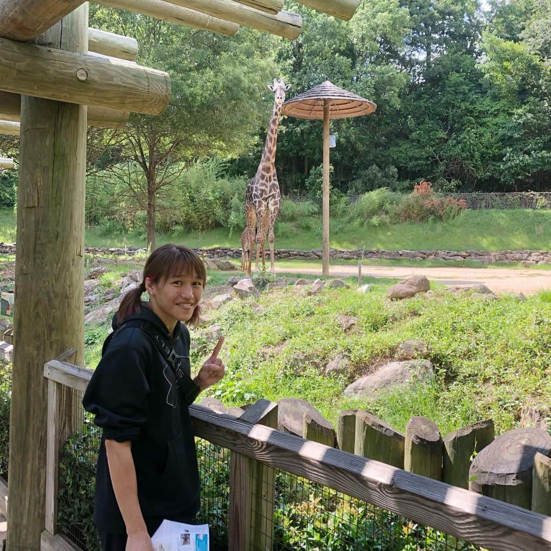 朱里さんのインスタグラム写真 - (朱里Instagram)「greenville zoo🐒  散歩しながら動物園を見てきました！！ #zoo #greenvillezoo #greenville #relaxa #ufc #ufcespn #espn #fightnight #match #mma #wmma #walk #animal #cute #hotday #good #goodweather #lion #giraffe #monkey #redpanda #リラックス #散歩 #歩く #良い天気 #動物園 #動物 #かわいい」6月18日 6時42分 - syuri_official