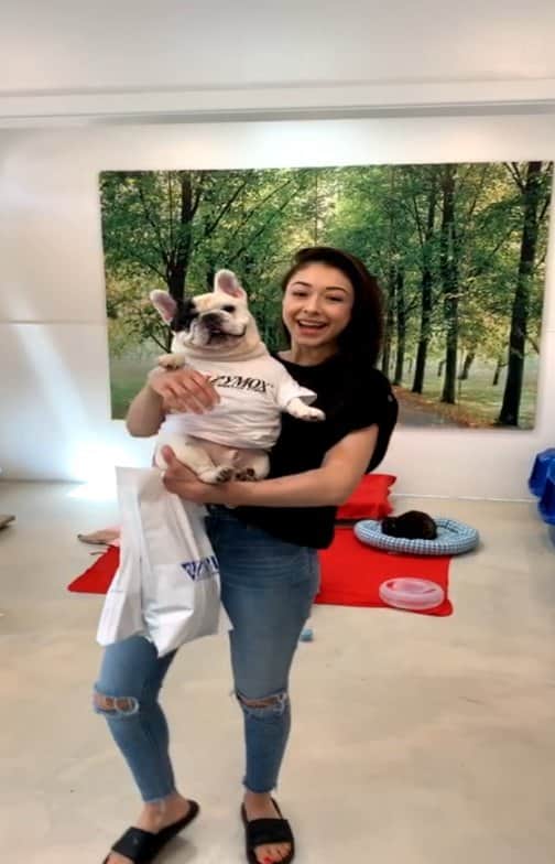 Manny The Frenchieのインスタグラム：「Philanthro-PUP Manny visits local Chicago rescue, Felines & Canines with donations from our friends at Zymox! 😃 Visit www.mannyandfriends.org to help them get the dental machine they need! ❤」