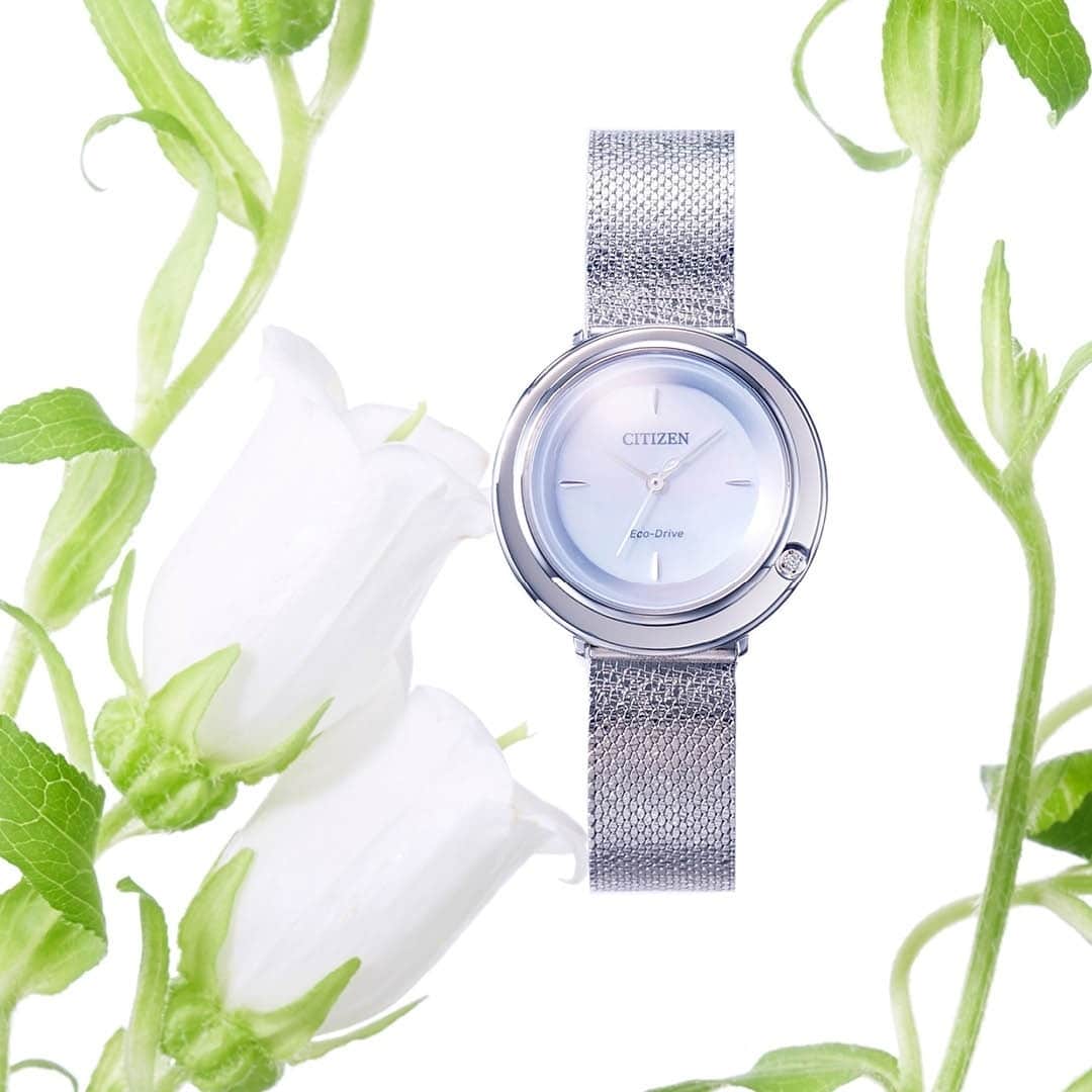 citizenlwatchのインスタグラム