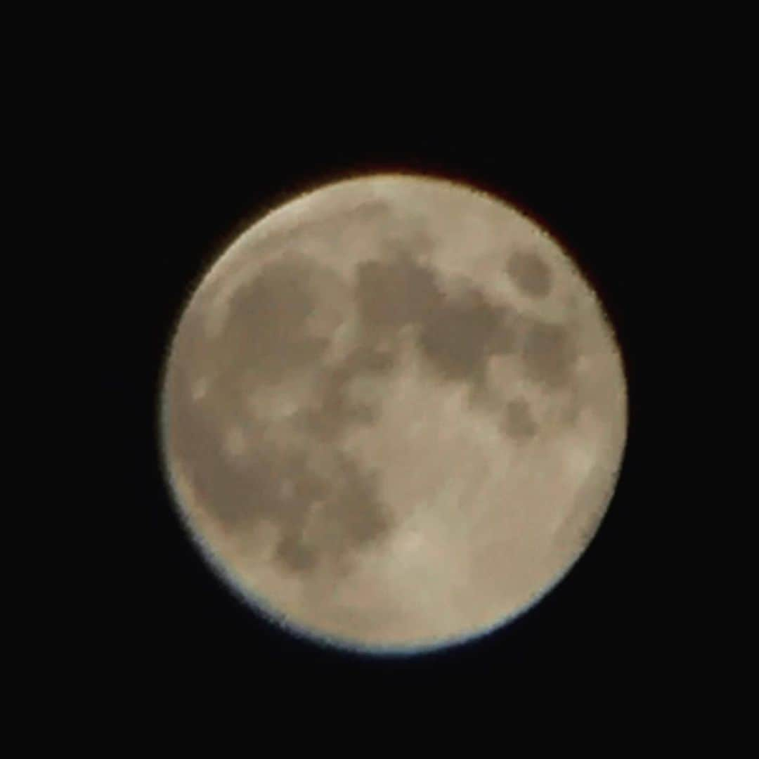 牧野誠三さんのインスタグラム写真 - (牧野誠三Instagram)「今日の夜は満月🌕！綺麗な夜空！木星も！すぐそばにピカ！ いまから夜空を見上げましよう！ #ytvアナウンサー  #ytv  #牧野 #読売テレビ #満月 #木星  https://www.ytv.co.jp/announce/」6月17日 22時51分 - makino_seizo_freeter